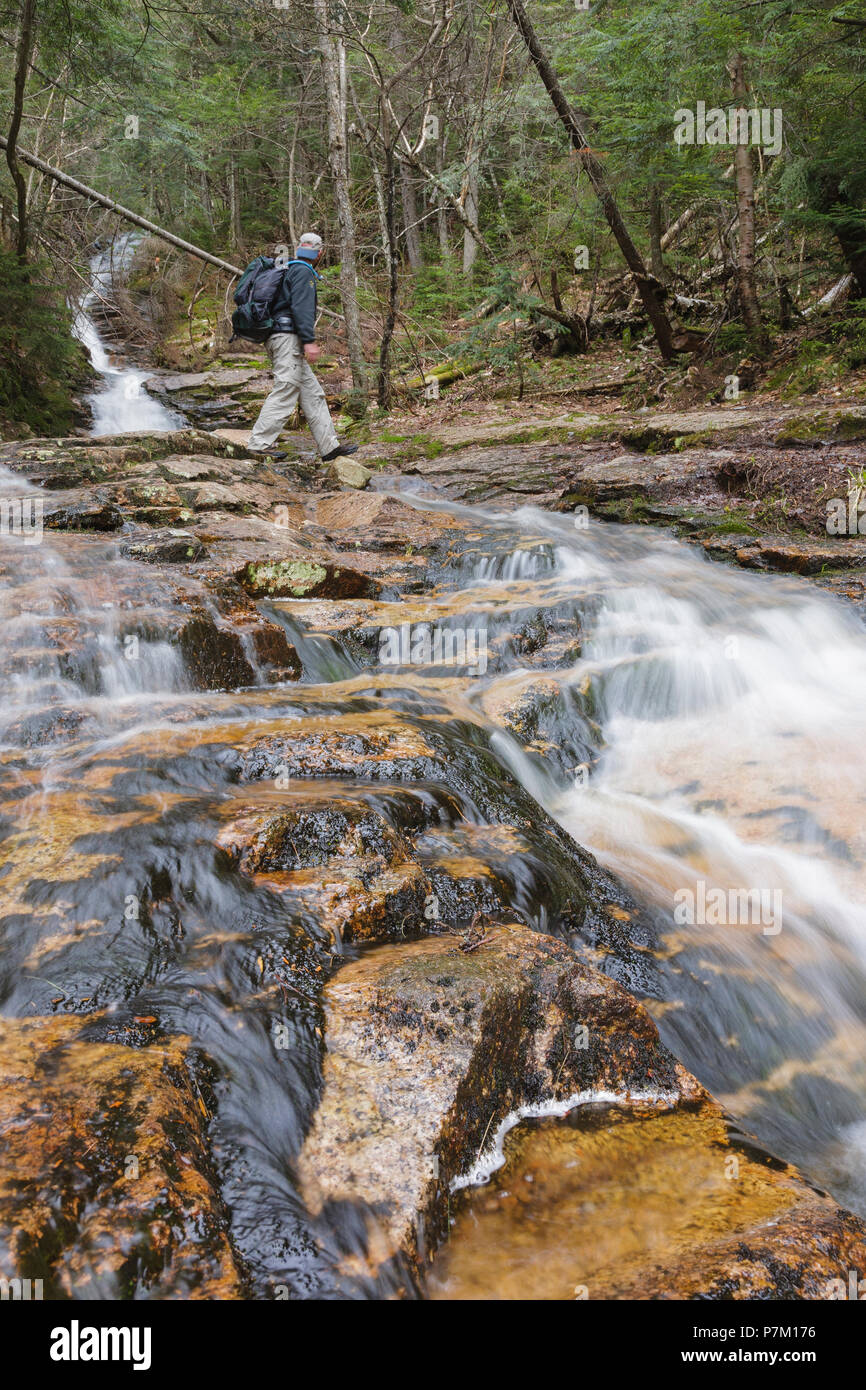 Passage des randonneurs le long du canal Kedron Flume Kedron Trail dans Hart's Location, New Hampshire pendant les mois de printemps. Cette cascade est une des nombreuses Banque D'Images