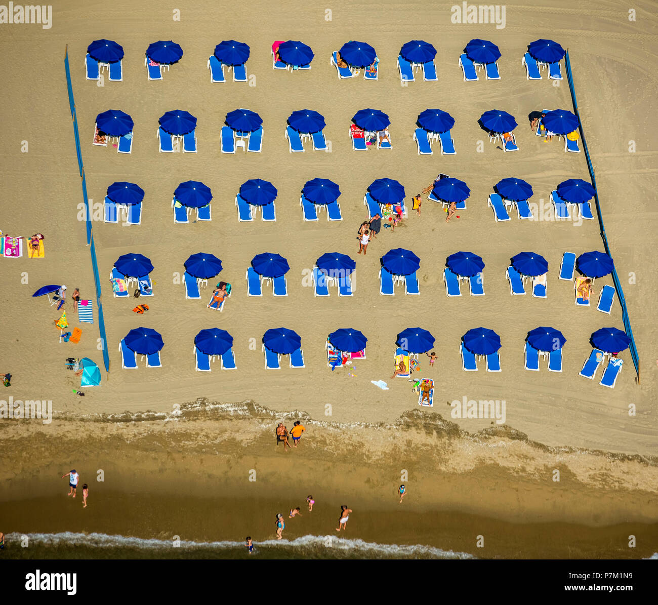 Parasols de plage bleu bleu avec chaises longues sur la plage de la Méditerranée vue depuis un avion, Canet-en-Roussillon, Pyrénées-Orientales département, région de l'Occitanie, France Banque D'Images