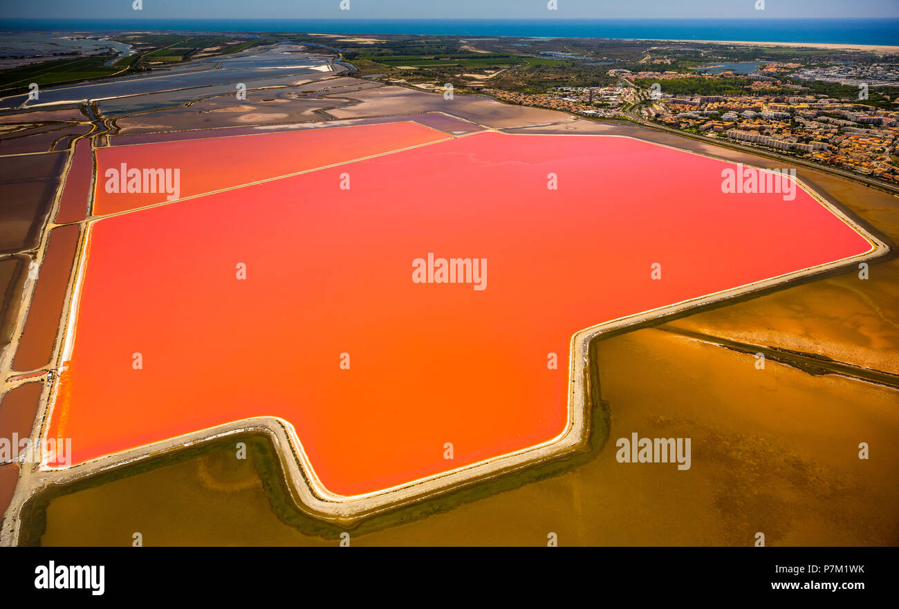 Lacs de sel aux alentours de Aigues-Mortes dans la Petite Camargue, Fleur de sel sur les étangs d'évaporation de sel, département du Gard, Région de l'Occitanie, France Banque D'Images