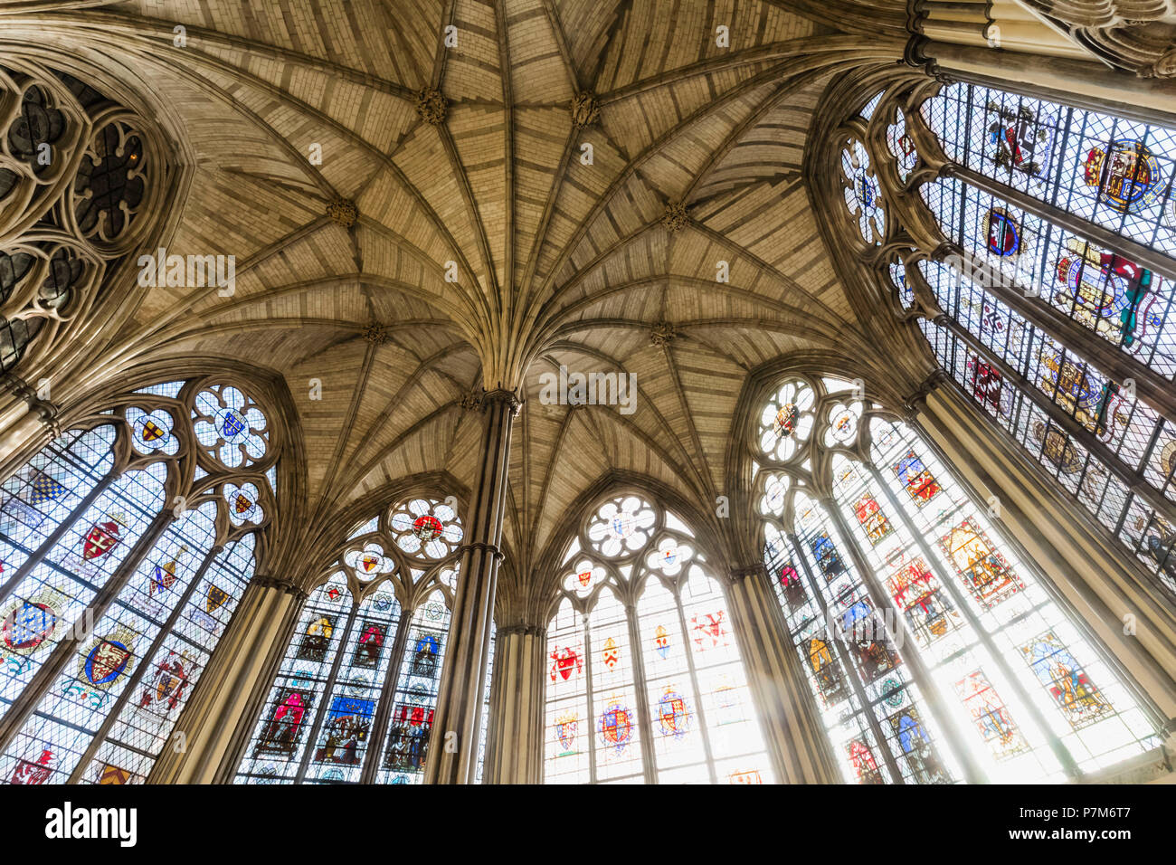 L'Angleterre, Londres, Westminter, l'abbaye de Westminster, la Salle Capitulaire, plafond et Vitraux Banque D'Images
