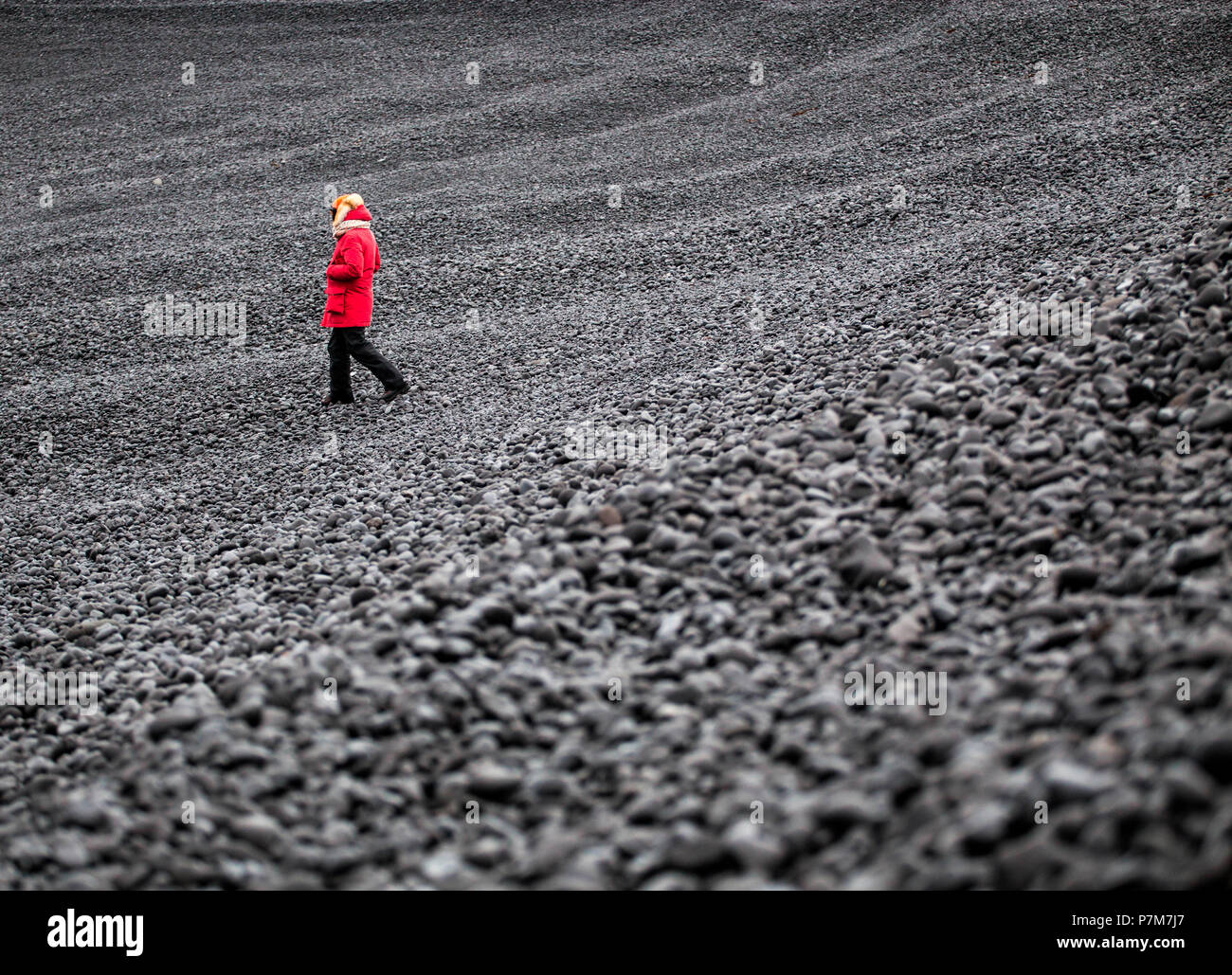 Plage volcanique typique Snaefellsness, Iceland Banque D'Images