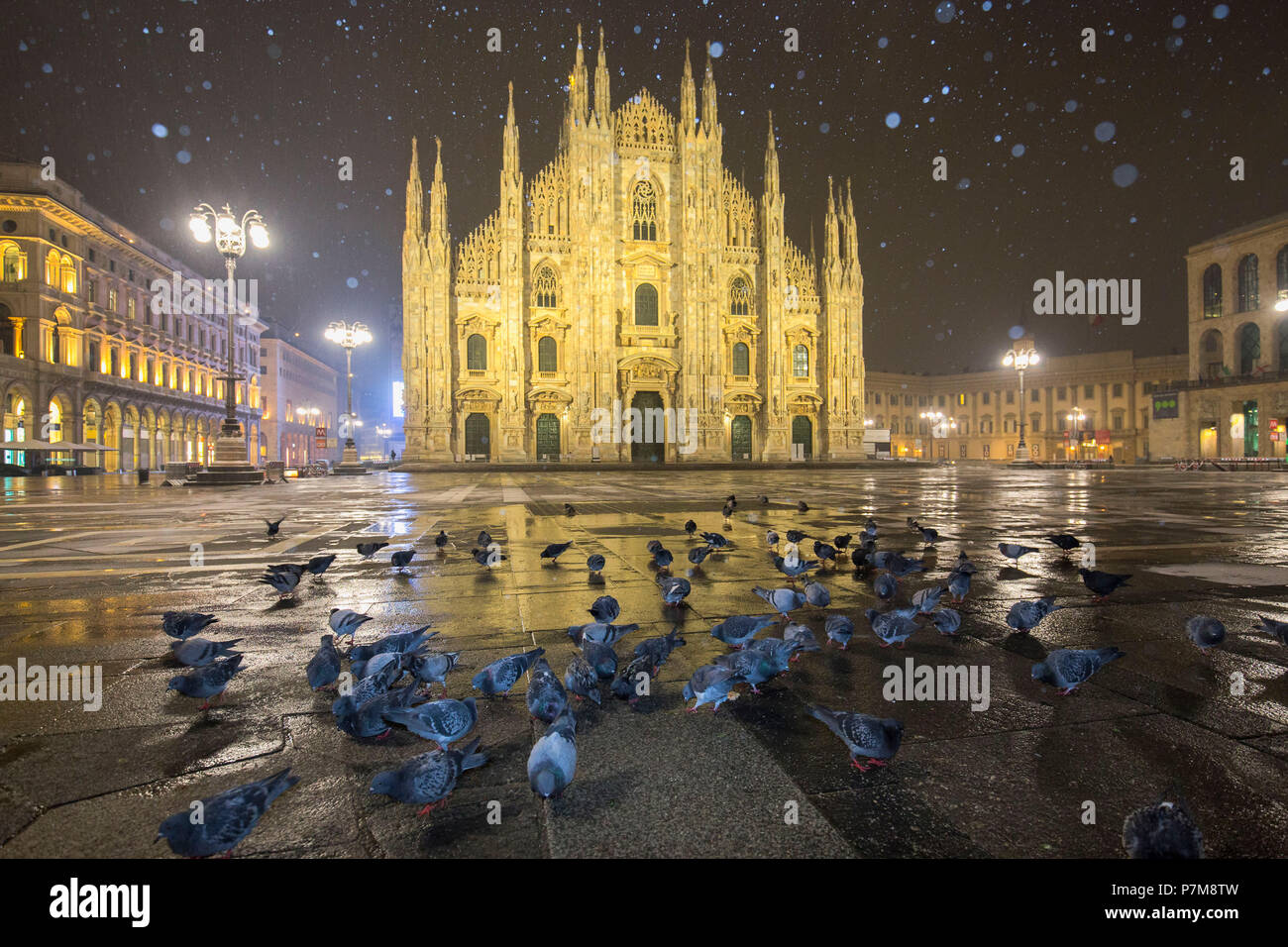 Les pigeons à Piazza Duomo, au cours d'une nuit de neige, Milan, Lombardie, Italie du Nord, Italie, Banque D'Images