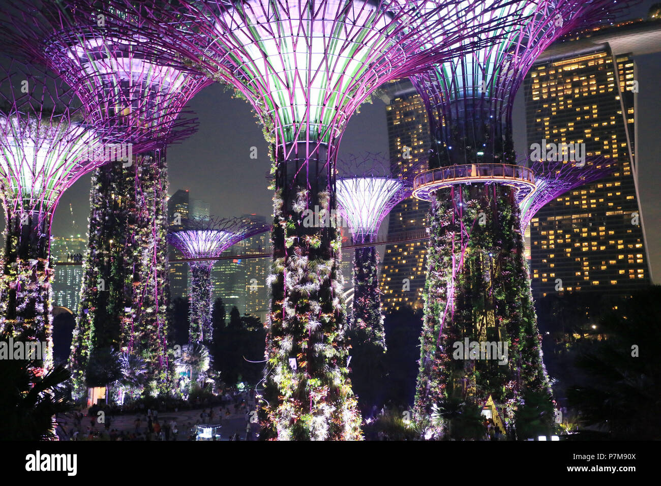 Singapour, les jardins de la baie à la nuit Banque D'Images