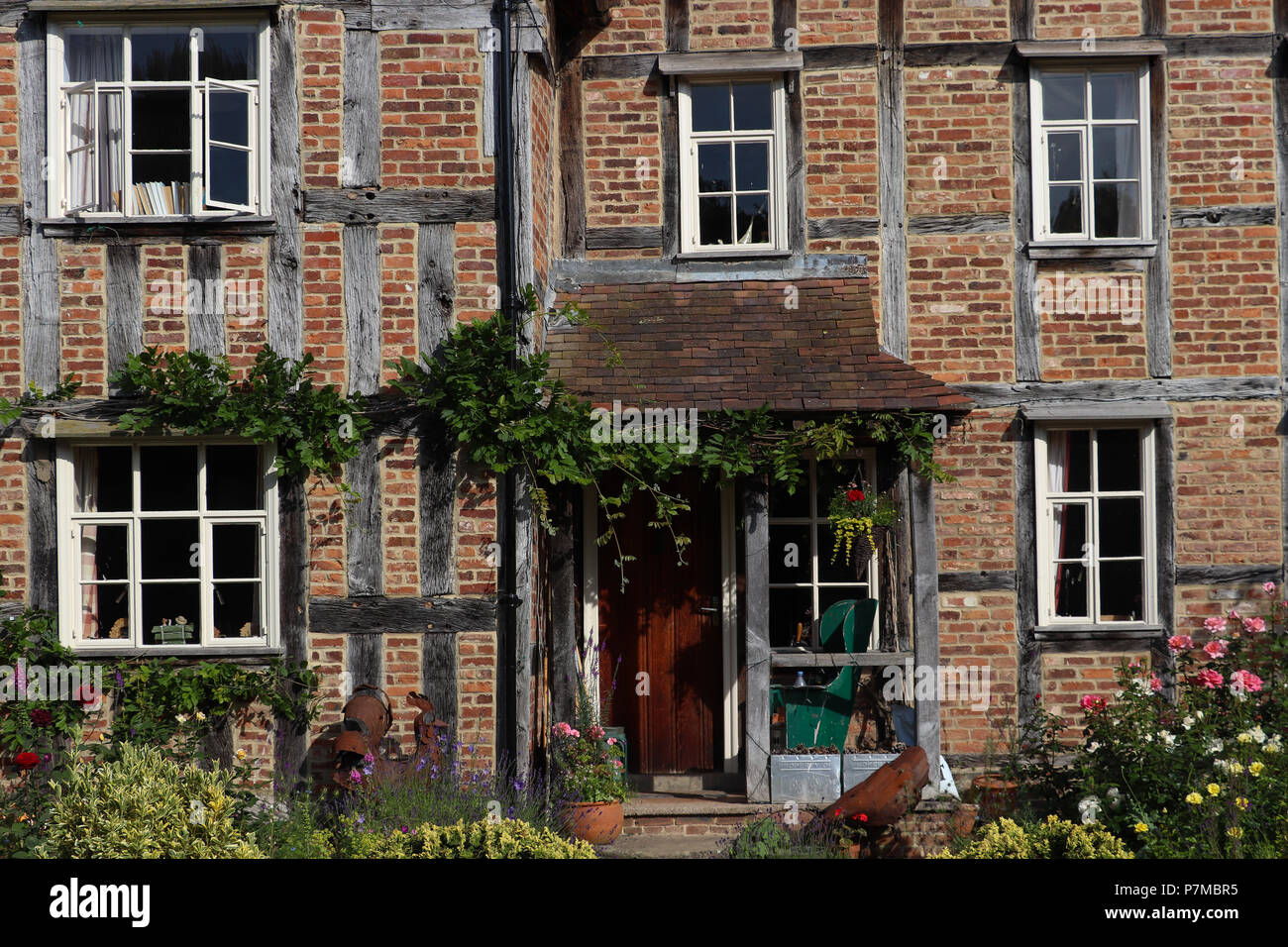 Vue rapprochée d'un Post and Beam construit maison du 17ème siècle en Angleterre, charpente apparente, la brique sur intercalaire cadre, plus de glycine [porche. Banque D'Images