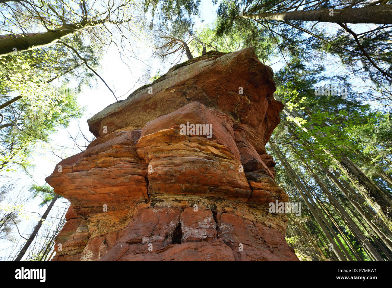 La France, Bas Rhin, Dambach, étranges rochers de grès rose Banque D'Images