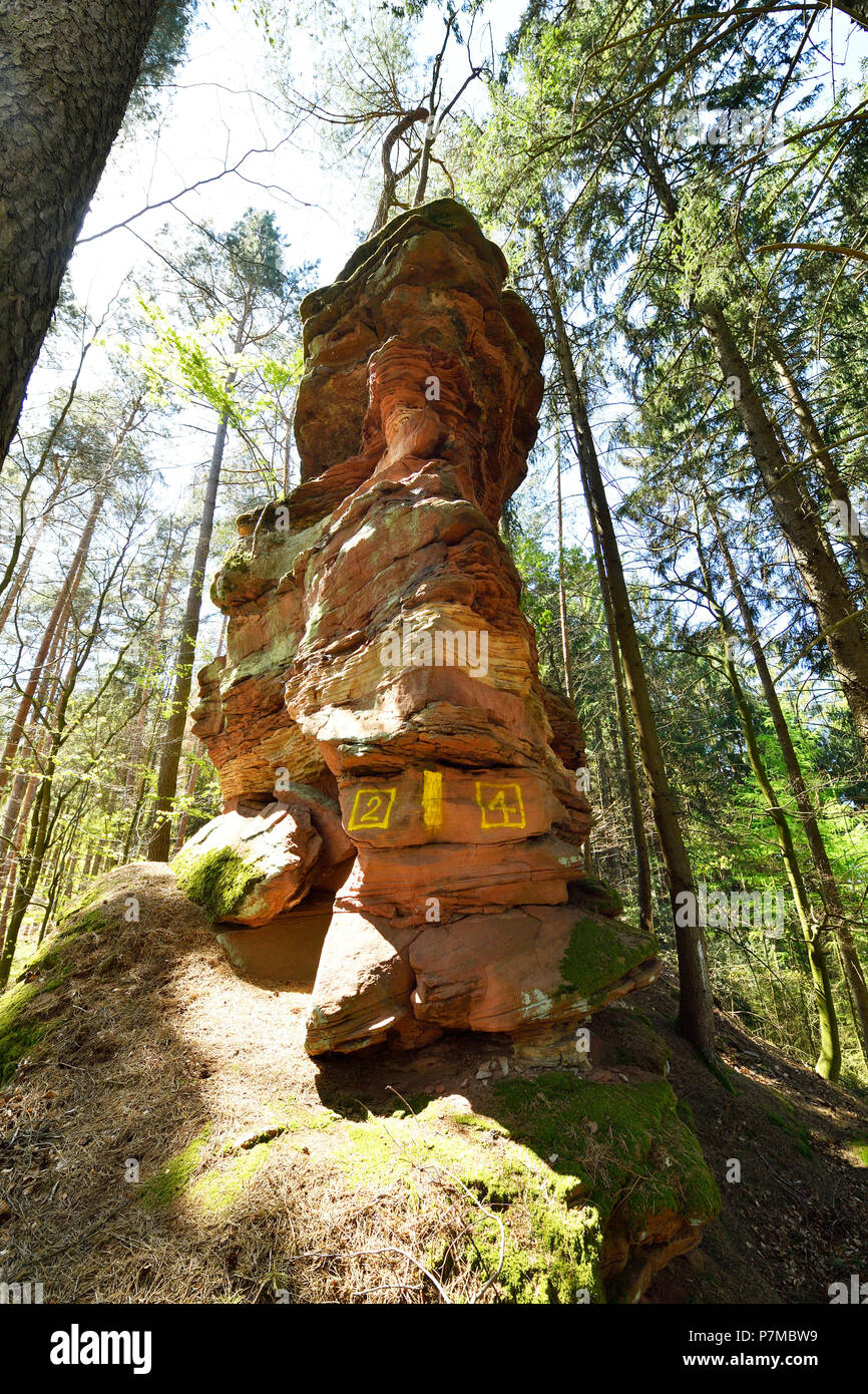 La France, Bas Rhin, Dambach, étranges rochers de grès rose Banque D'Images