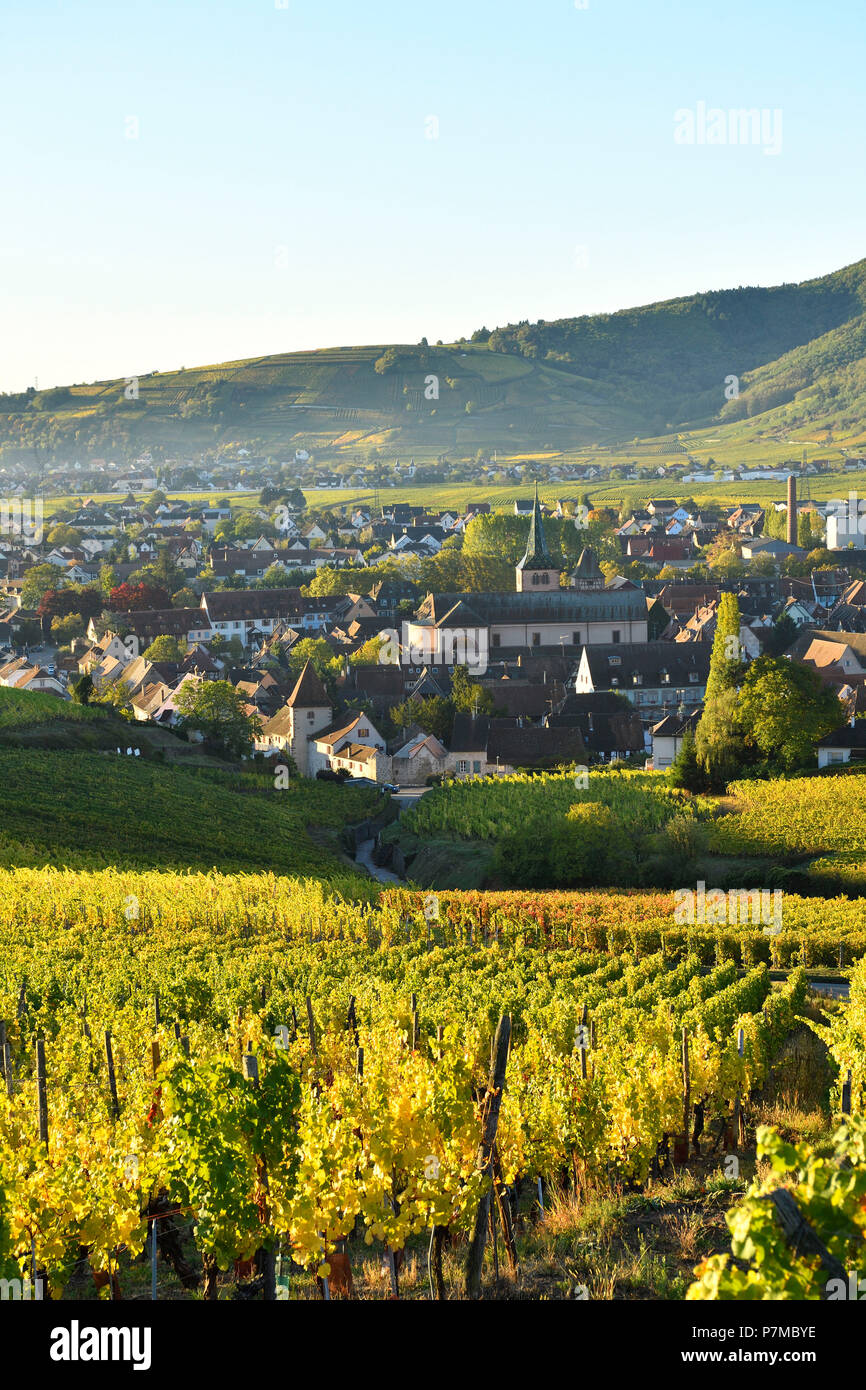 La France, Haut Rhin, Alsace Wine Route, Turckheim Banque D'Images