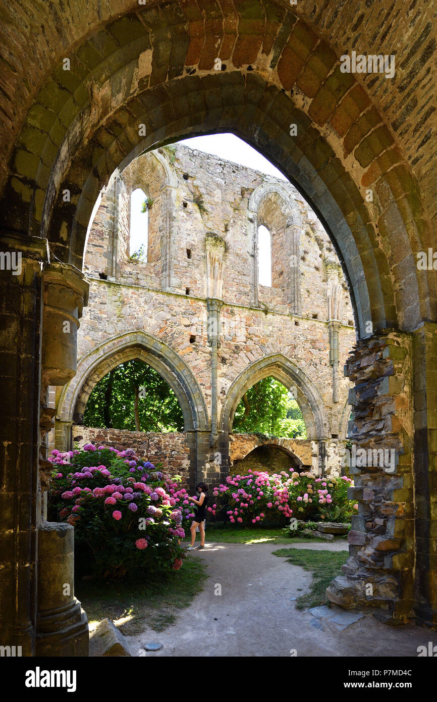 France, Cotes d'Armor, sur le Chemin de Saint Jacques, Paimpol, Abbaye de Beauport 13e siècle, à l'intérieur de l'église abbatiale Banque D'Images