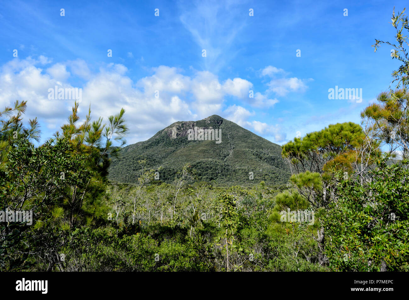 Vue sur le mont Tozer depuis le belvédère, la péninsule du Cap York, Far North Queensland, Queensland, Australie, FNQ Banque D'Images