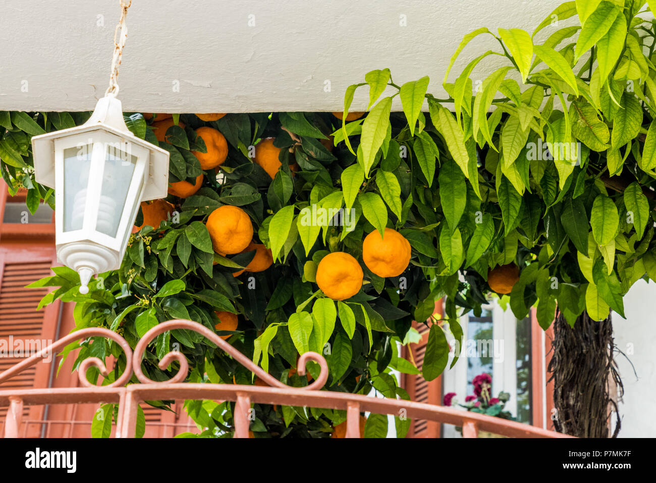 Une vue typique dans le village traditionnel d'Omodos à Chypre Banque D'Images