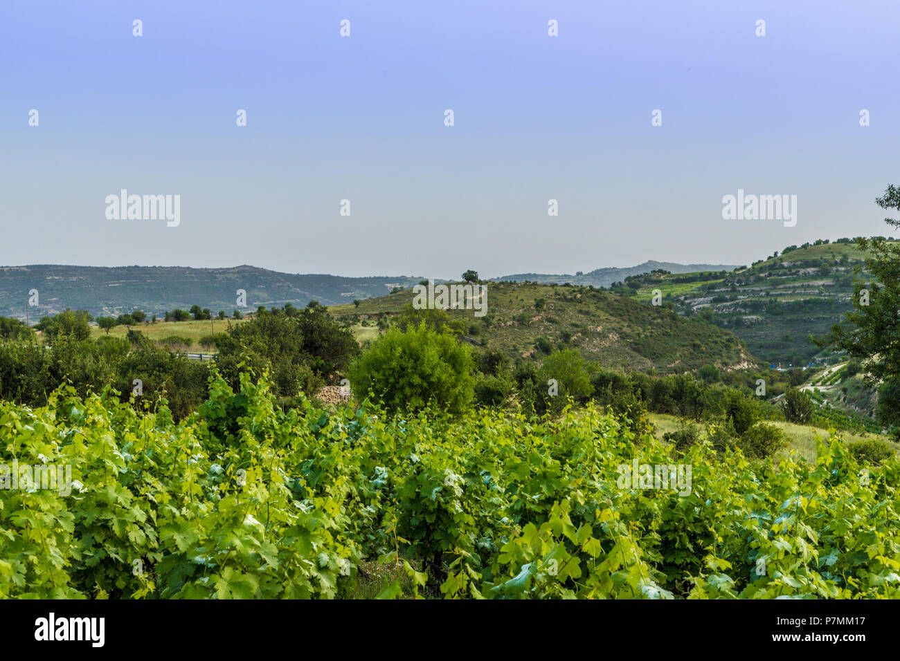 Une vue typique dans le village traditionnel d'Omodos à Chypre Banque D'Images