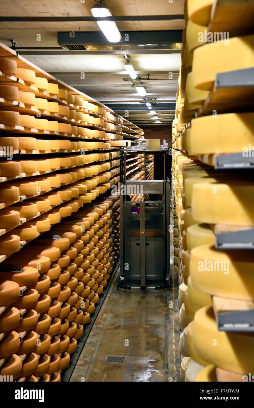 La Suisse, Canton de Fribourg, Gruyères, La Maison du Gruyère (Chambre des) fromage gruyère, fromage gruyère en cave Banque D'Images