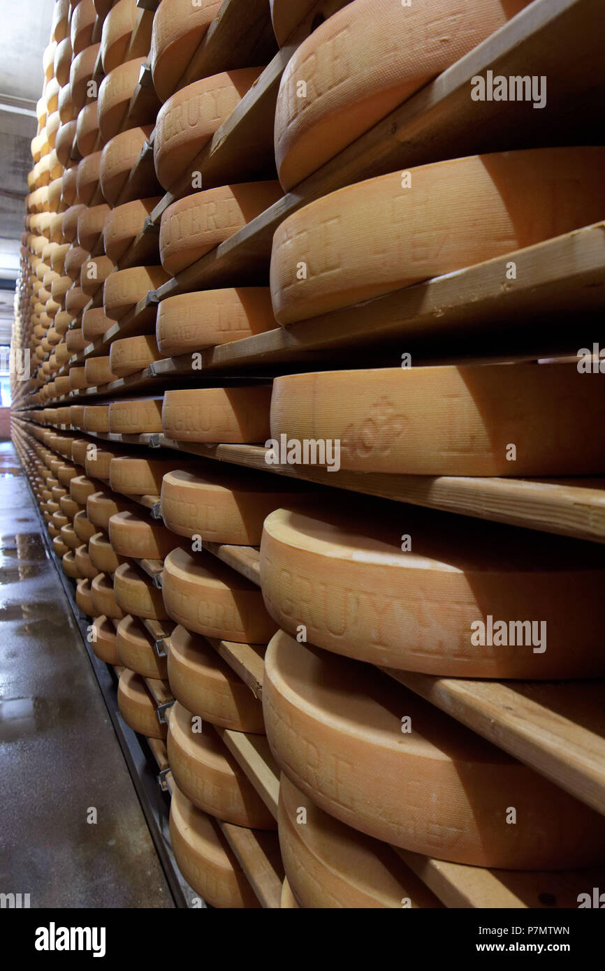 La Suisse, Canton de Fribourg, Gruyères, La Maison du Gruyère (Chambre des) fromage gruyère, fromage gruyère en cave Banque D'Images