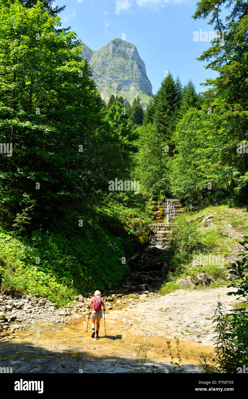 La Suisse, Canton de Fribourg, Gruyères, randonnée pédestre jusqu'au 2002m, Moleson, sommet de la emblématiques Gruyeres Banque D'Images