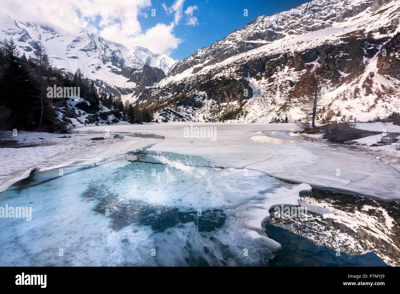 Aviolo dans le lac du parc de l'Adamello, province de Brescia, Lombardie, Italie, Banque D'Images