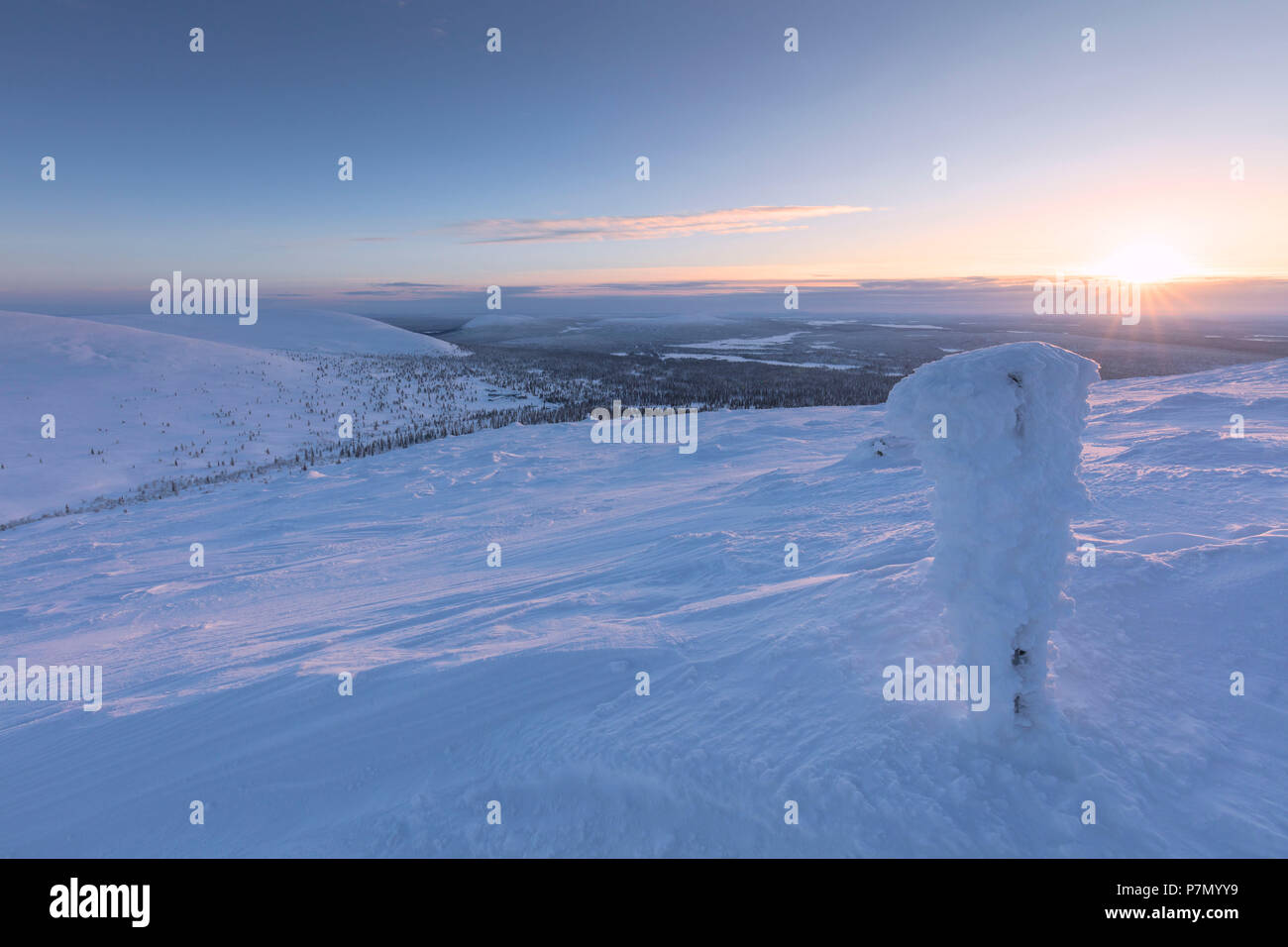 Lever du soleil sur le paysage gelé recouvert de neige, Parc National Pallas-Yllastunturi, Muonio, Laponie, Finlande Banque D'Images