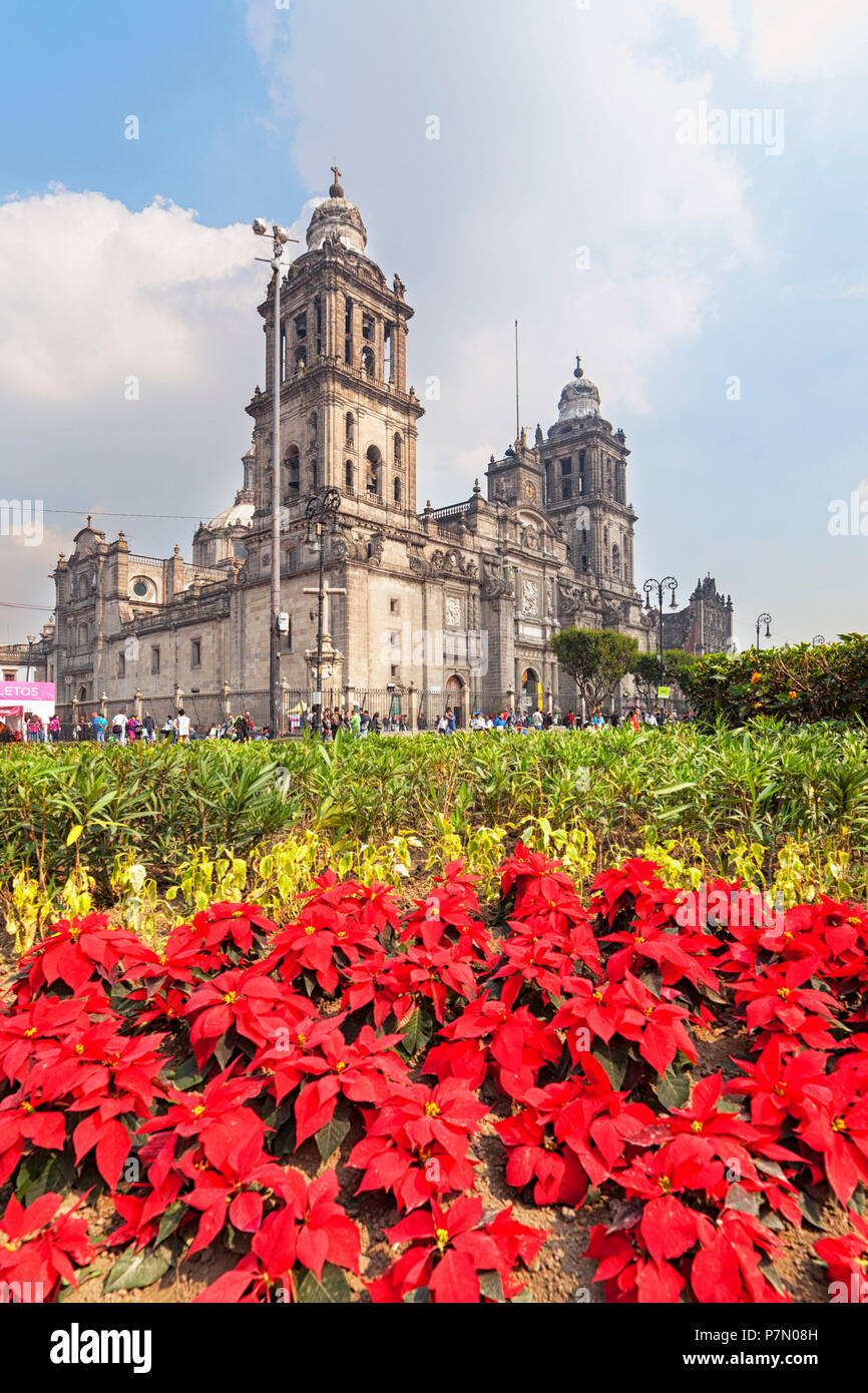 Cathédrale métropolitaine dans le temps de Noël, constitution, Mexico, Mexique, Banque D'Images