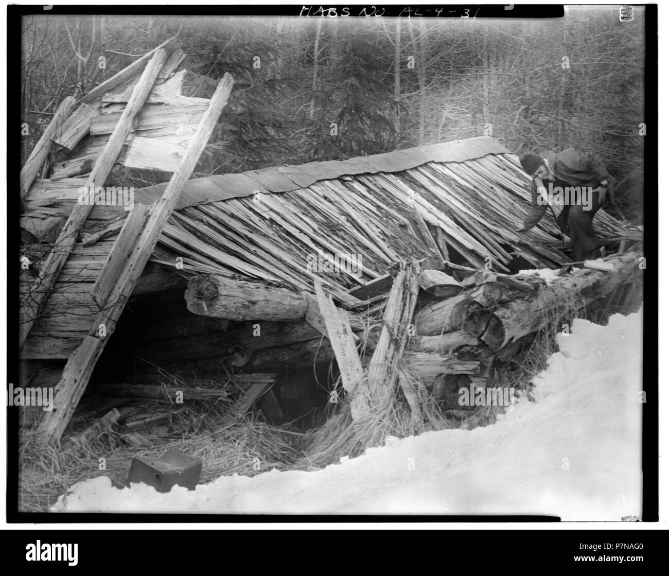 31. À l'OUEST ET AU SUD DE FORGE - sentier Dalton Post, Mile 40, route de Haines, Haines, Haines Borough, AK - Banque D'Images