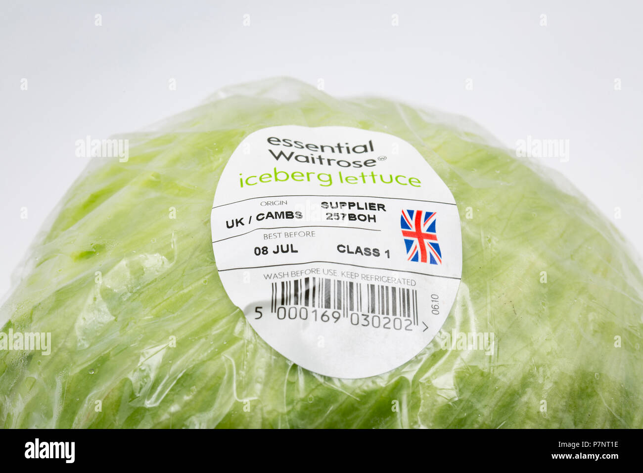 Un iceberg laitue cultivée dans le Cambridgeshire UK et acheté dans un supermarché Waitrose. Nord du Dorset England UK GO Banque D'Images