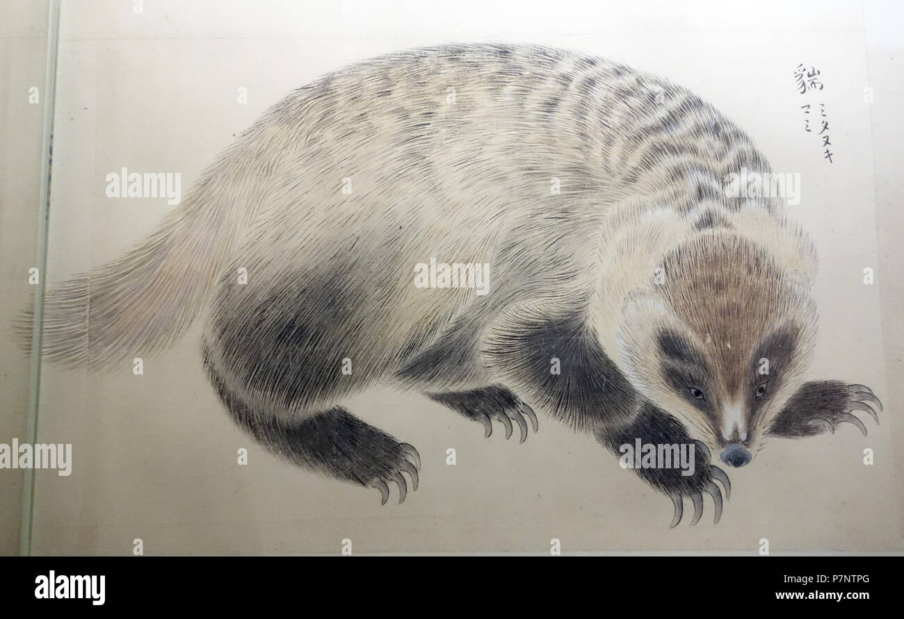 Anglais : Exposition dans le Musée National de Tokyo, Tokyo, Japon. Cette oeuvre est assez vieux pour qu'il soit dans le . 2 septembre 2013, 22:44:27 6 203 illustrations d'animaux, période Edo, 19e siècle, couleur sur papier - Musée National de Tokyo - DSC05498 Banque D'Images