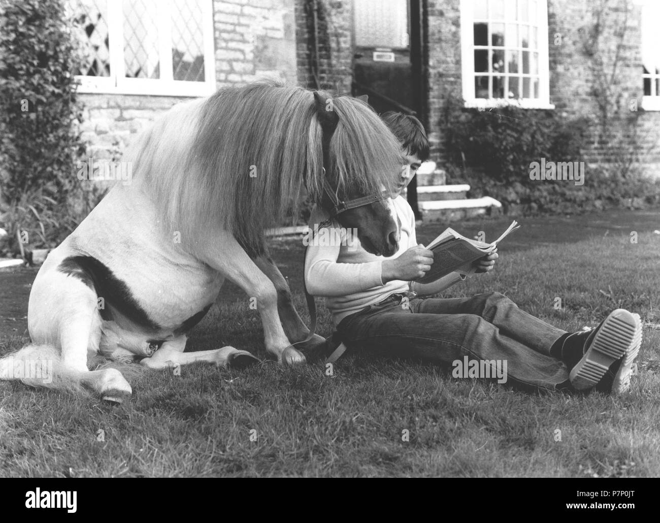 L'homme et le cheval lire ensemble, en Angleterre, Grande-Bretagne Banque D'Images