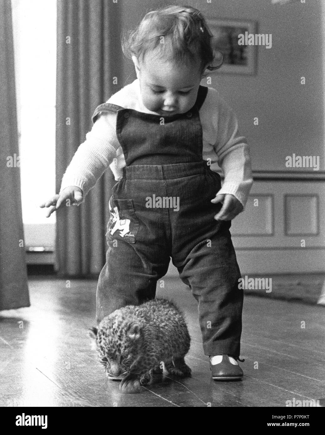 Petit Garçon jouant avec bébé prédateur, Angleterre, Grande-Bretagne Banque D'Images