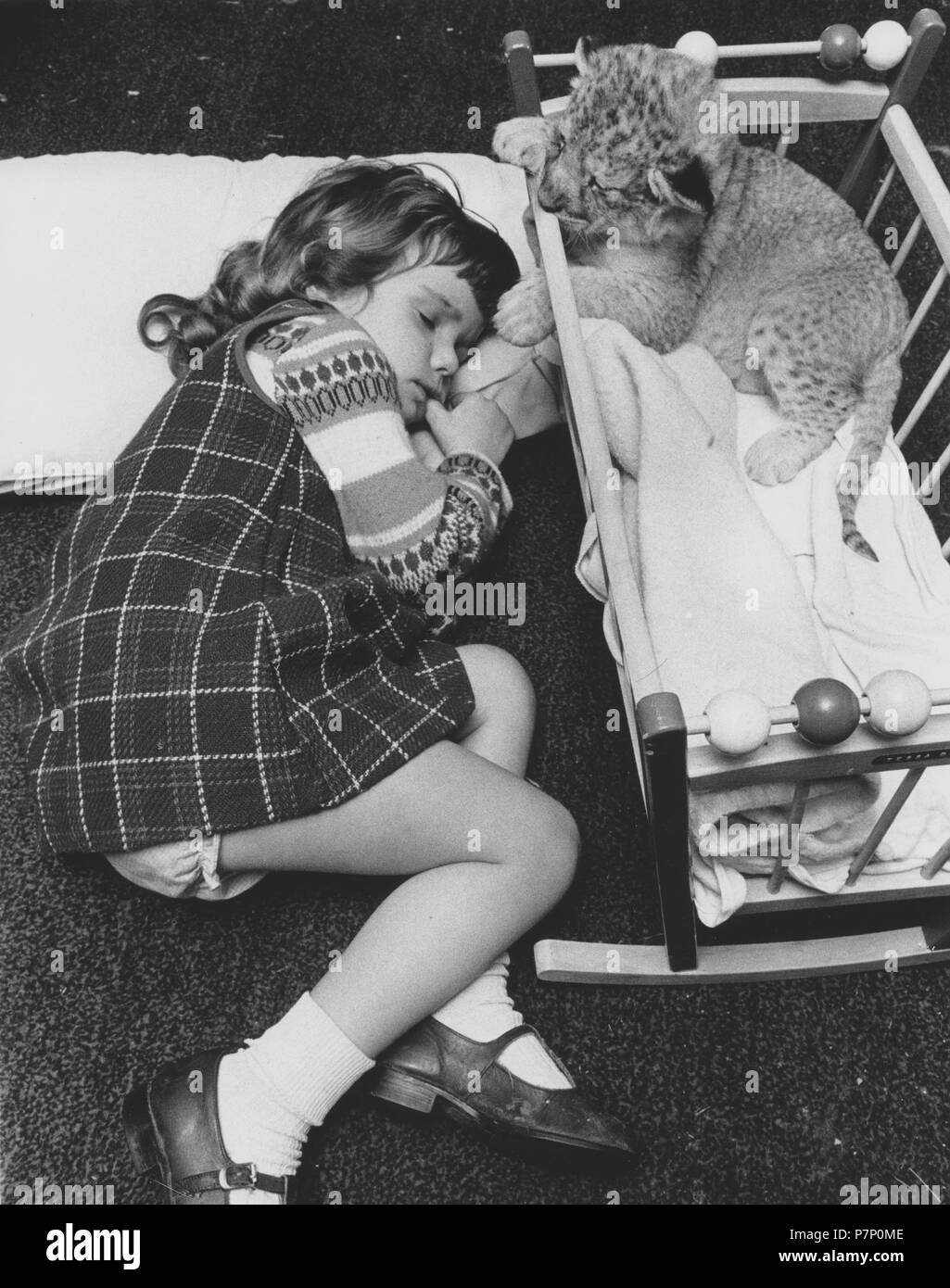 Dormir à côté d'une fille bébé prédateur, Angleterre, Grande-Bretagne Banque D'Images