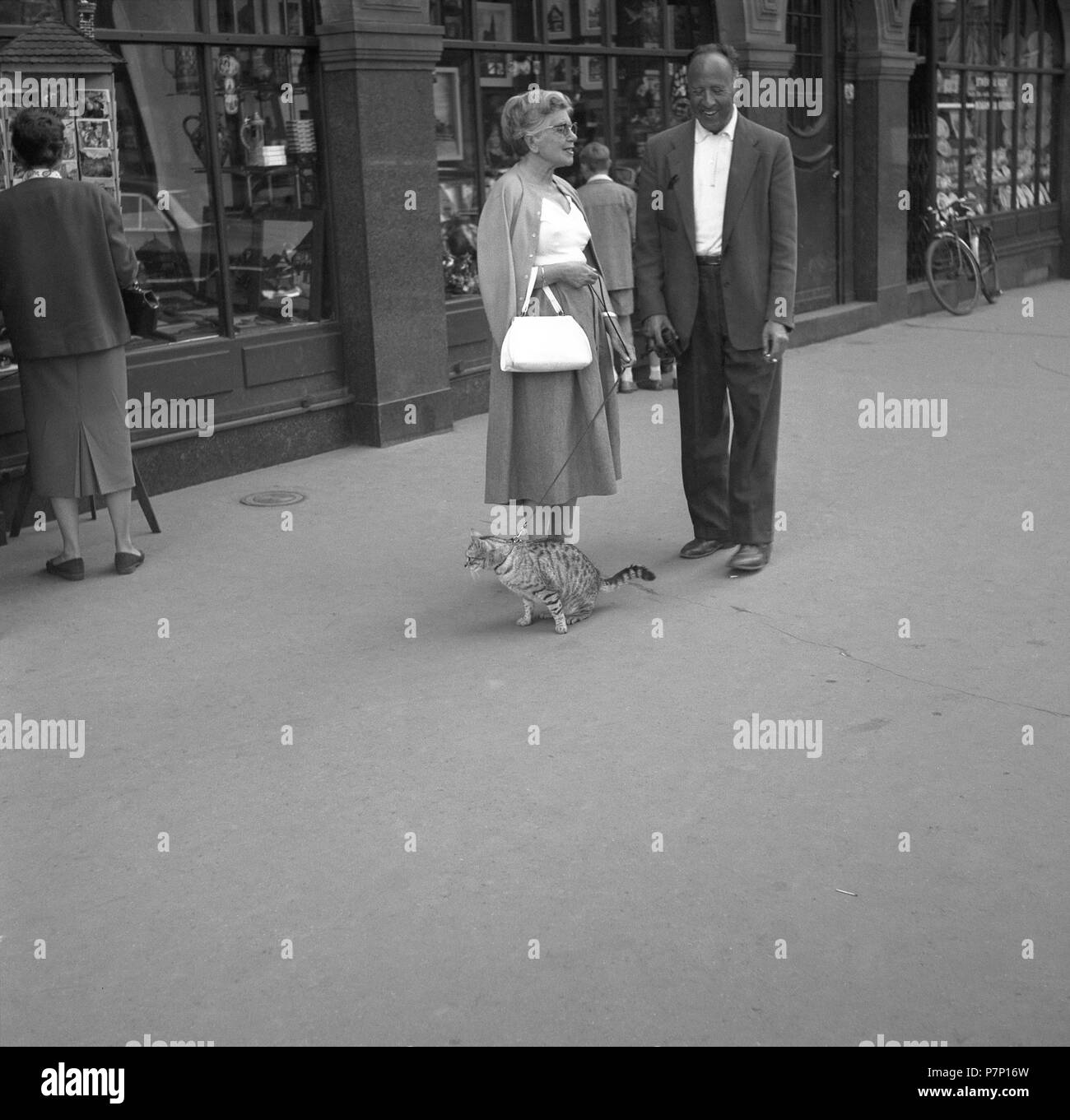 Une femme conduit son chat en laisse, ca. 1950, Freiburg, Allemagne Banque D'Images