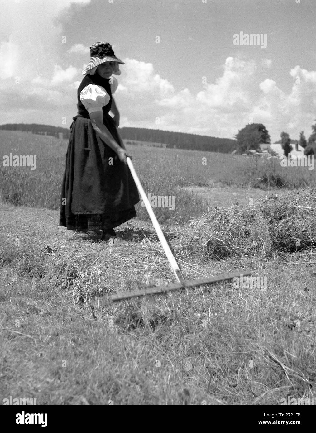 L'herbe tondue retour femme tournant, autour de 1950, près de Fribourg, Allemagne Banque D'Images