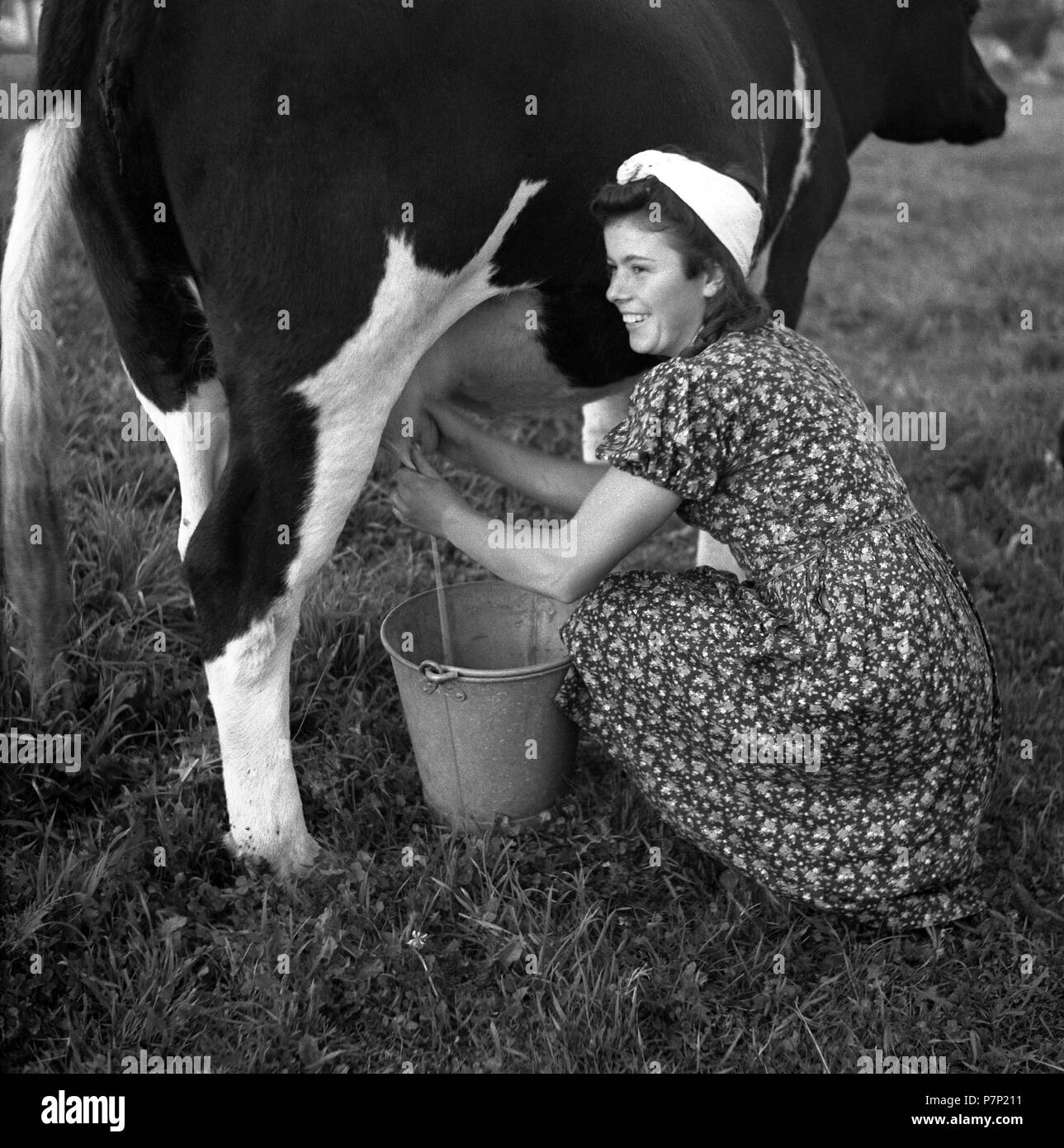 Traire une femme Banque d