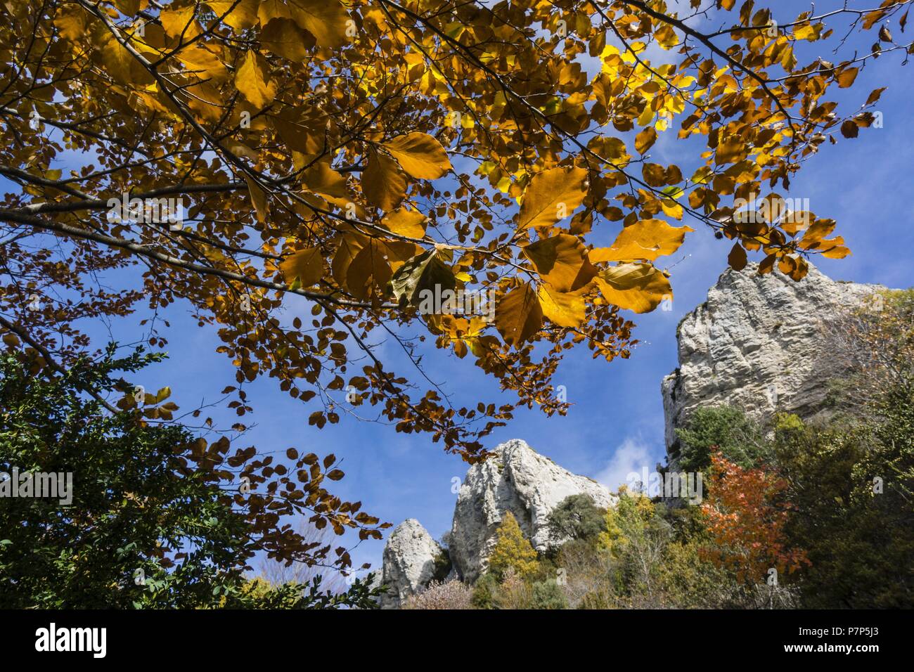 La Sierra de Guara, Sobrarbe, Provincia de Huesca, Comunidad Autónoma de Aragón, cordillera de los Pirineos, Espagne, Europe. Banque D'Images