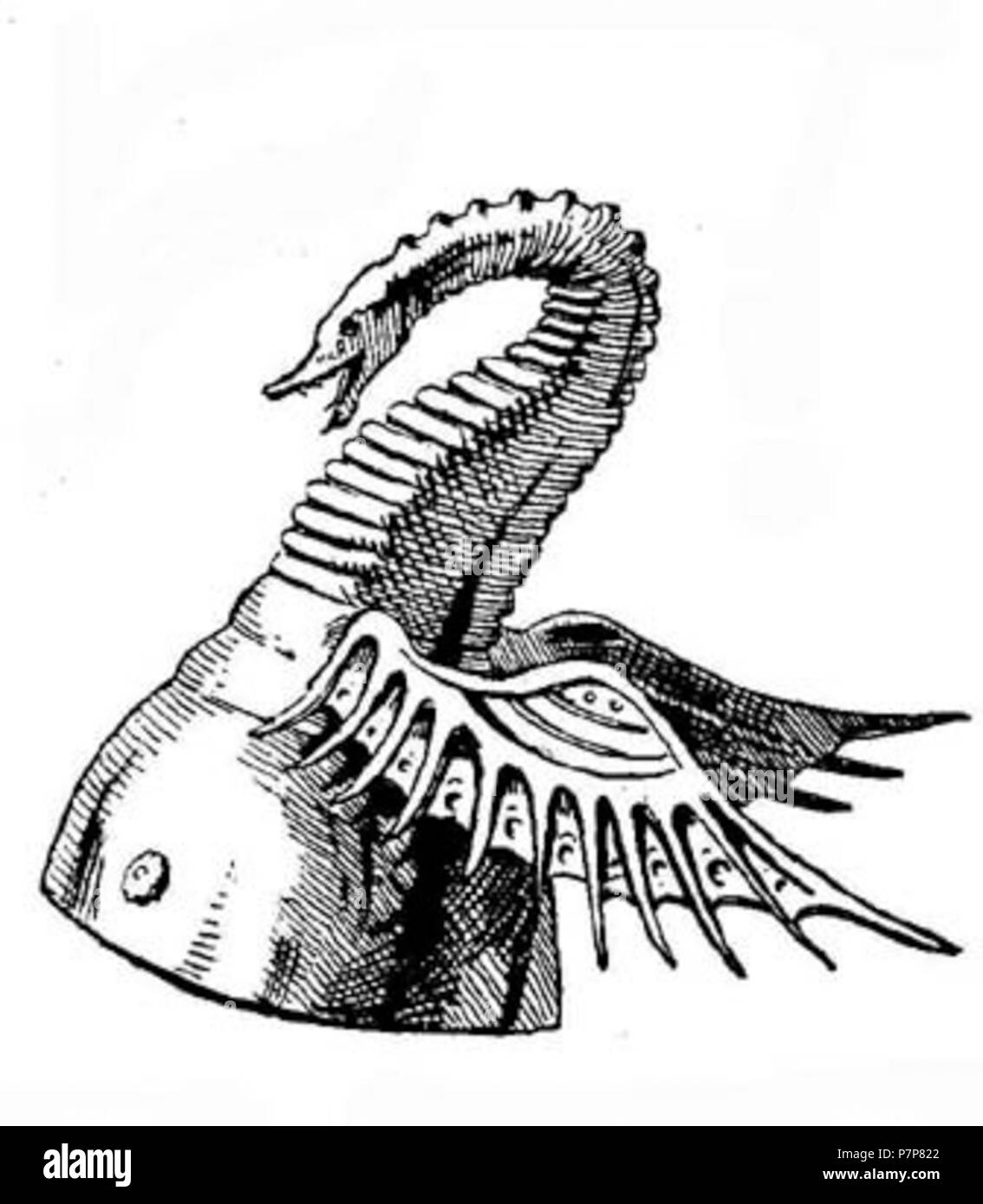 : ' ' . 21 avril 2013, 05:16:20 48 Boeheim (15) Banque D'Images