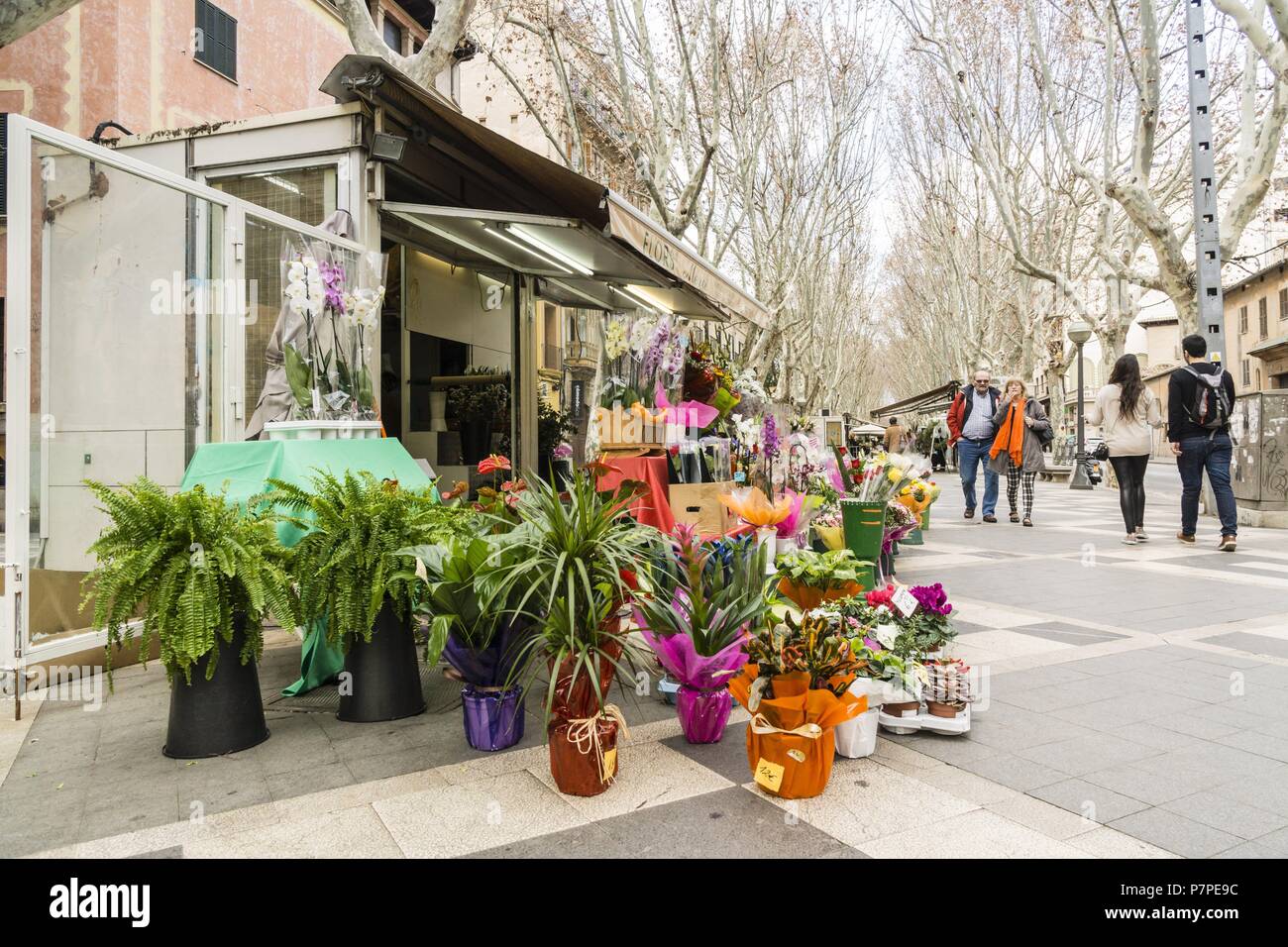 Floristerias de la Rambla, Palma de Mallorca, Majorque, Iles Baléares, Espagne. Banque D'Images