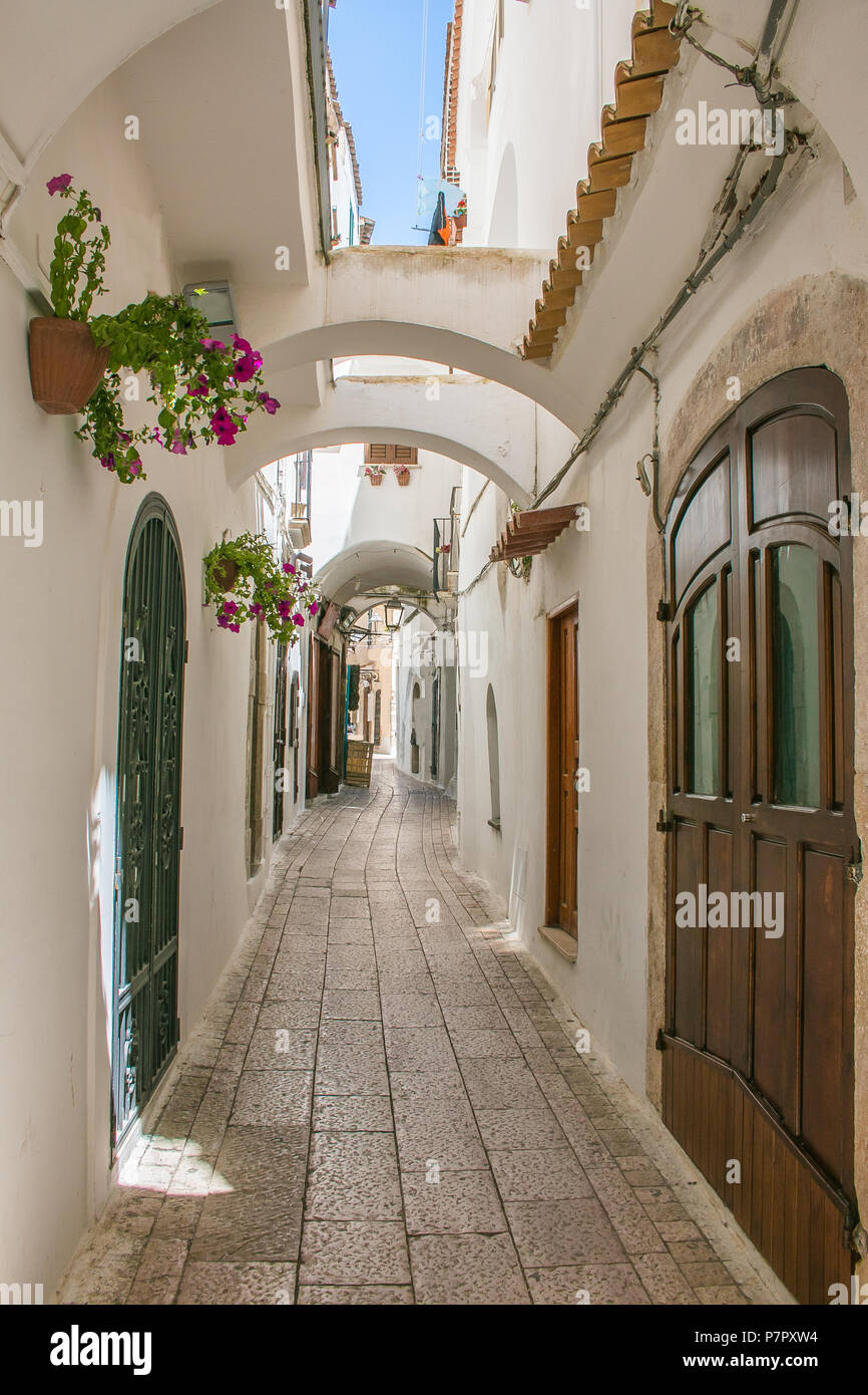 Vue sur la vieille maison typiquement italien, Sperlonga, italie Banque D'Images