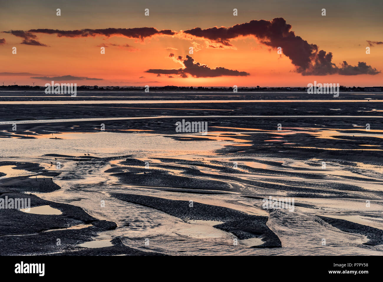 Lumière orange lever du soleil sur l'embouchure de la Somme. Le ciel se reflète dans les flaques de la marée basse Banque D'Images