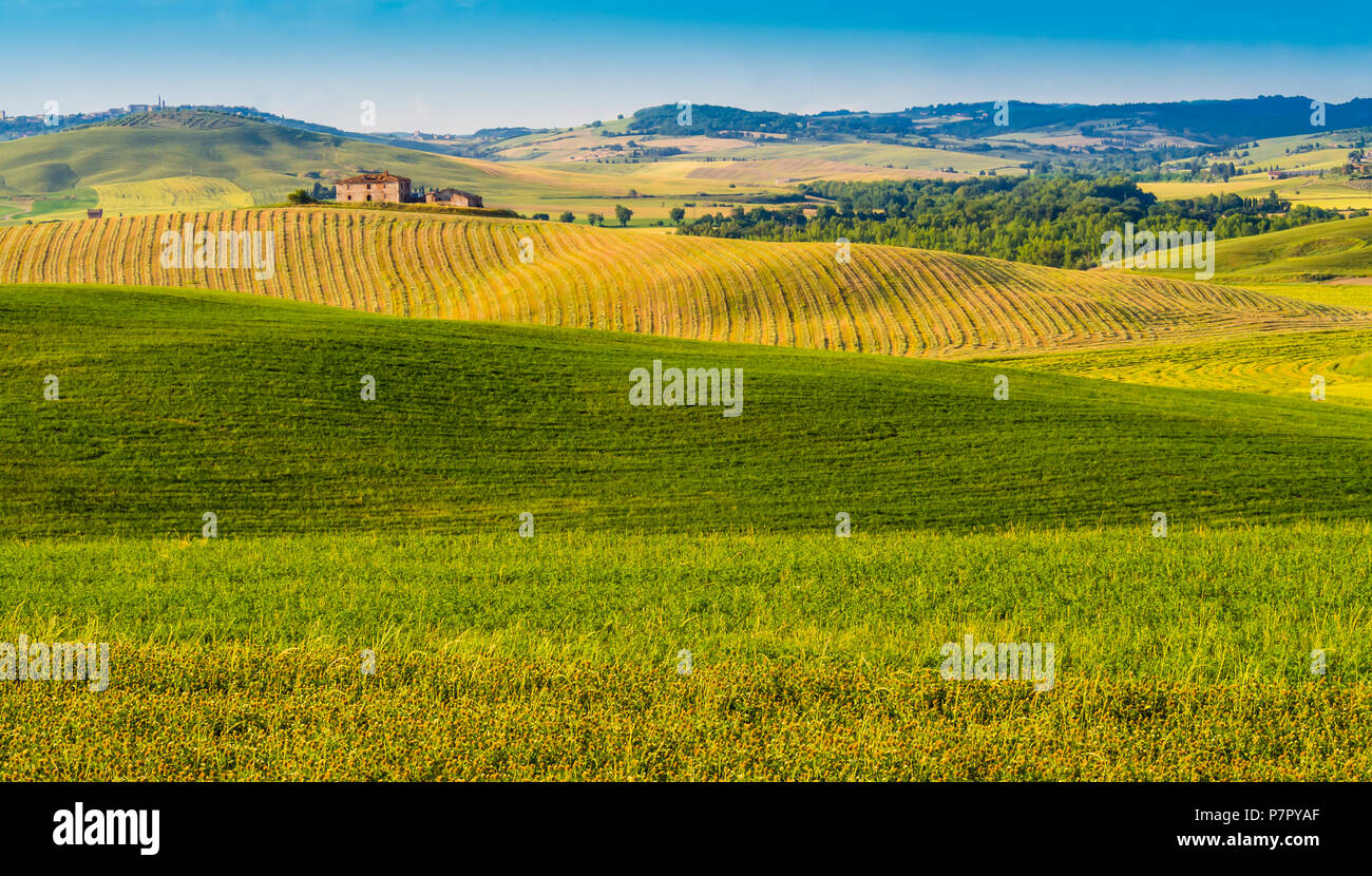 Paysage toscan impressionnant, avec des champs cultivés et de collines Banque D'Images