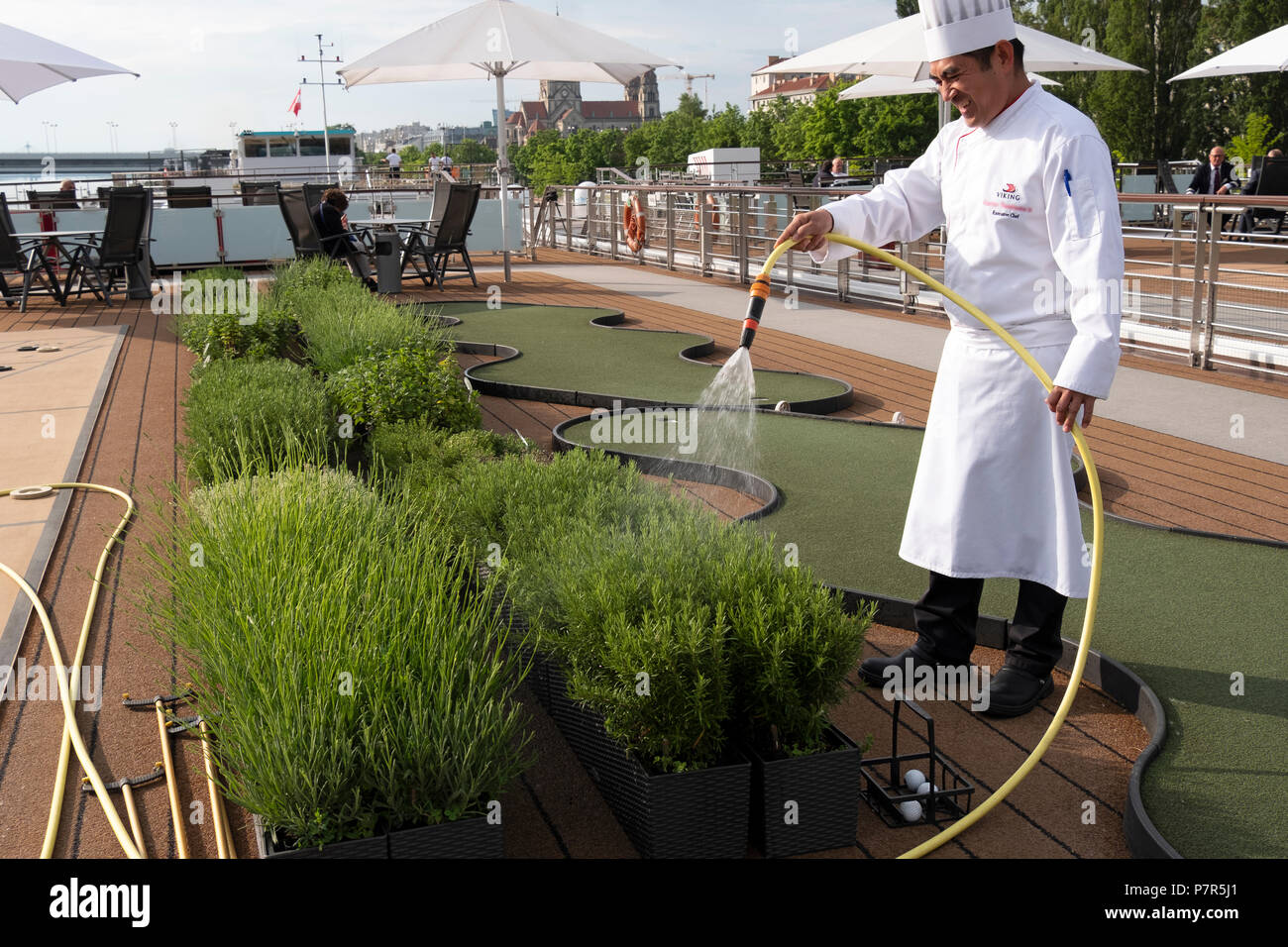 Un navire de croisière eaux chef son herbe jardin sur le pont supérieur alors qu'il est connecté sur le Danube à Vienne, Autriche Banque D'Images