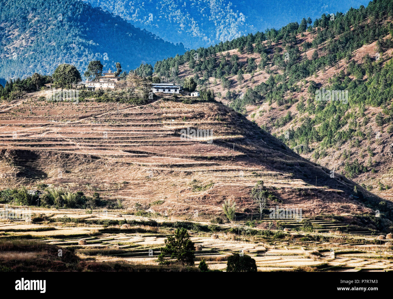 Chemi Lhakhang monastère près de Punakha. Le Bhoutan. Banque D'Images
