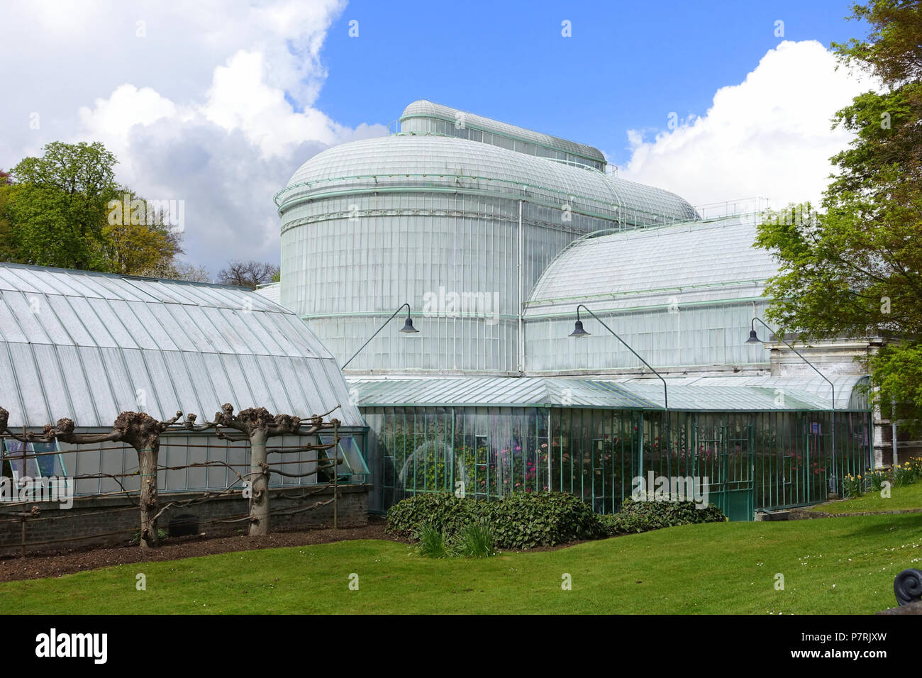 Anglais : Royal de Laeken Les Serres - Château Royal de Laeken, Bruxelles, Belgique. 17 avril 2016, 07:01:51 175 vue Serre - Château Royal de Laeken, Bruxelles, Belgique - DSC07138 Banque D'Images