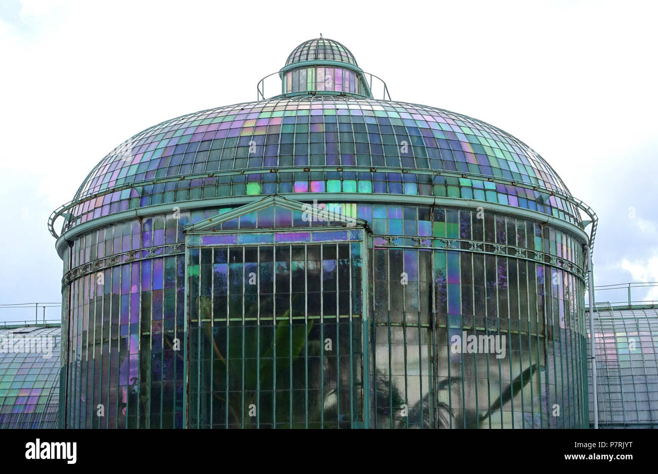 Anglais : Royal de Laeken Les Serres - Château Royal de Laeken, Bruxelles, Belgique. 17 avril 2016, 07:11:05 175 vue Serre - Château Royal de Laeken, Bruxelles, Belgique - DSC07184 Banque D'Images