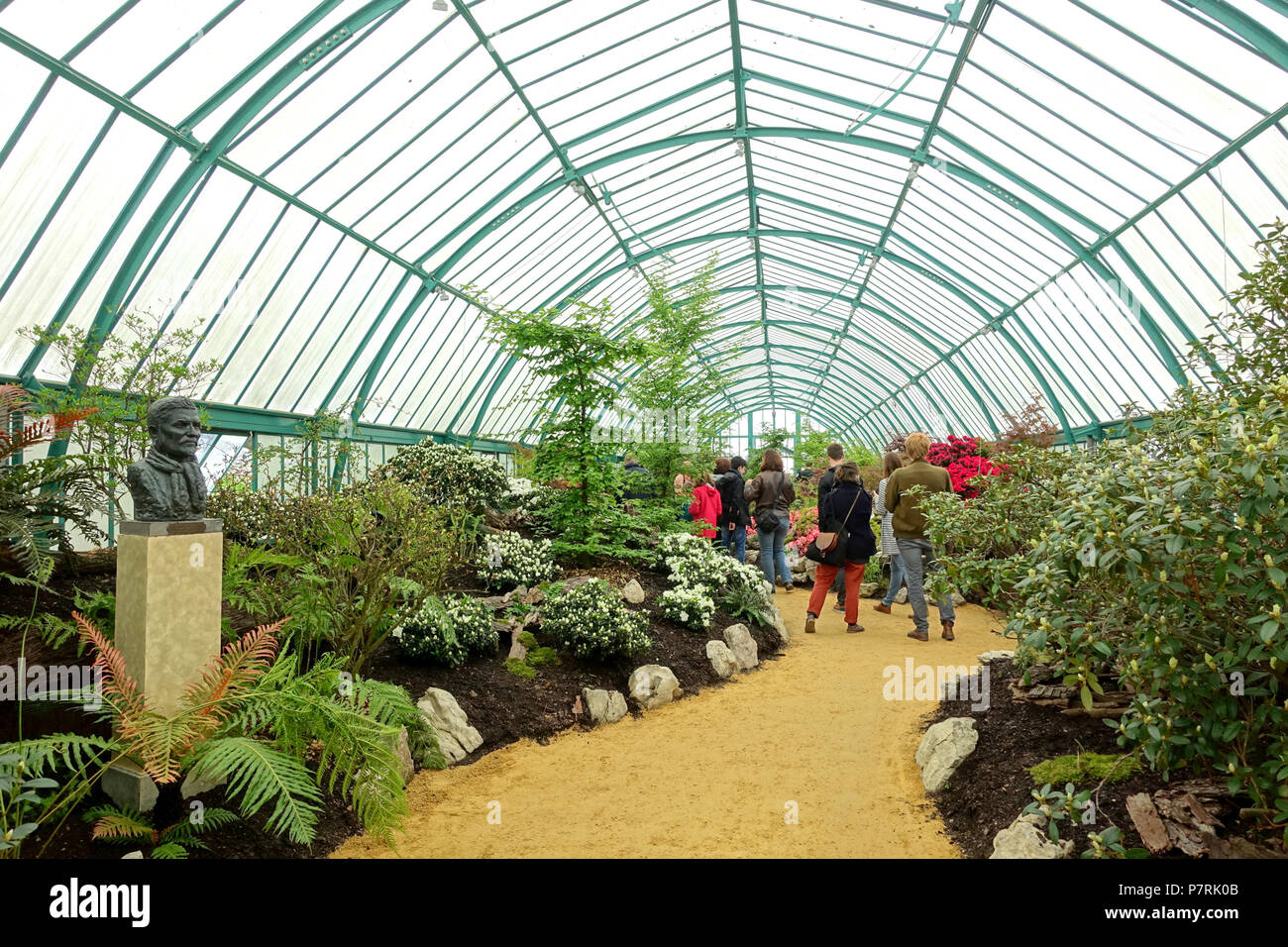 Anglais : vue de l'intérieur, les Serres Royales de Laeken - Château Royal de Laeken, Bruxelles, Belgique. 17 avril 2016, 07:25:32 204 vue intérieure - Les Serres Royales de Laeken - Château Royal de Laeken, Bruxelles, Belgique - DSC07262 Banque D'Images