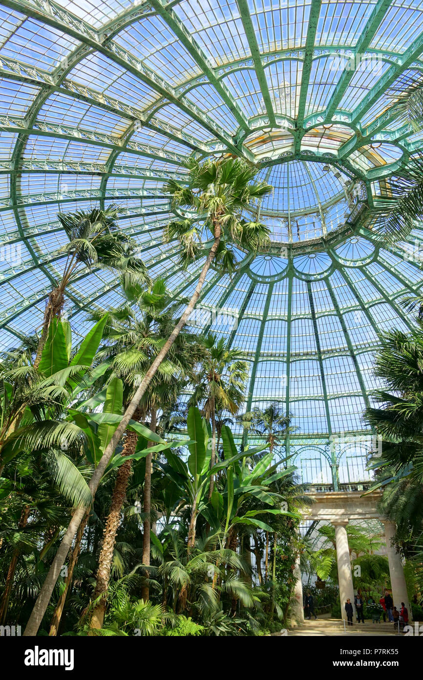 N/A. N/A 402 Jardin d'hiver intérieur dome - Serres Royales de Laeken - Château Royal de Laeken, Bruxelles, Belgique - DSC07512 Banque D'Images