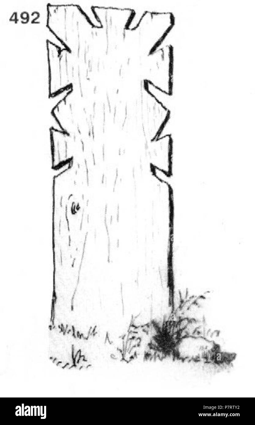 : 492. - . , , .  ; , . . 31 : 14x2 . 1917 . (. 6, . 68.) . Novembre 1917 208 Ivan Enchev-Vidyu Bulgarian Folk traverse 492 Banque D'Images