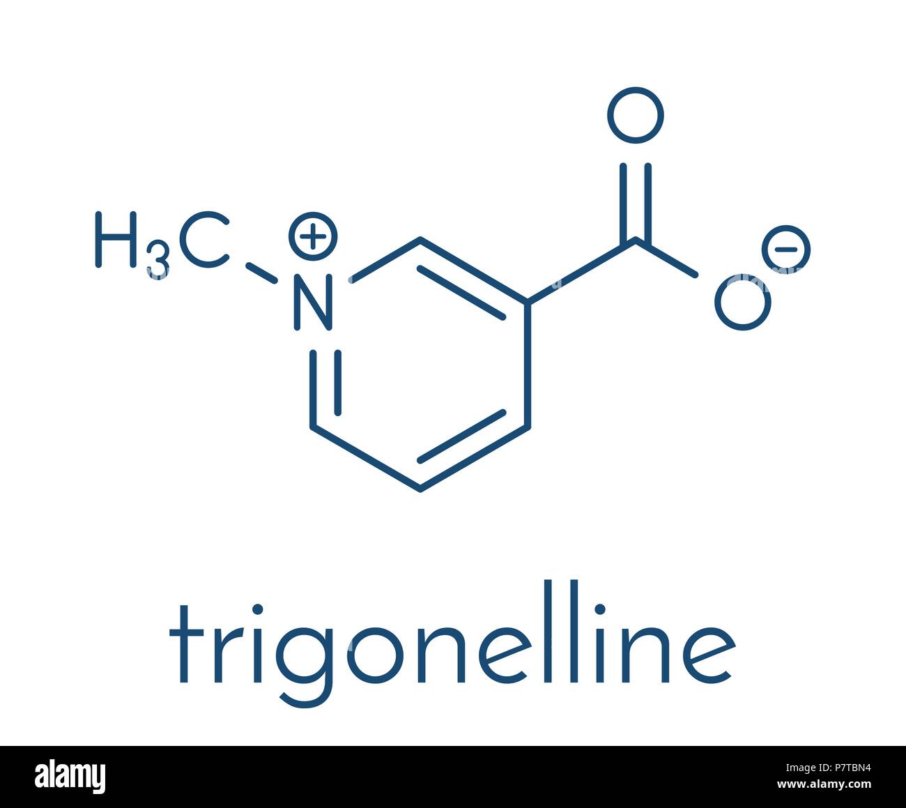 La Trigonelline molécule. Métabolite de la niacine (vitamine B3) mais aussi dans un certain nombre de plantes, y compris le fenugrec. Formule topologique. Illustration de Vecteur
