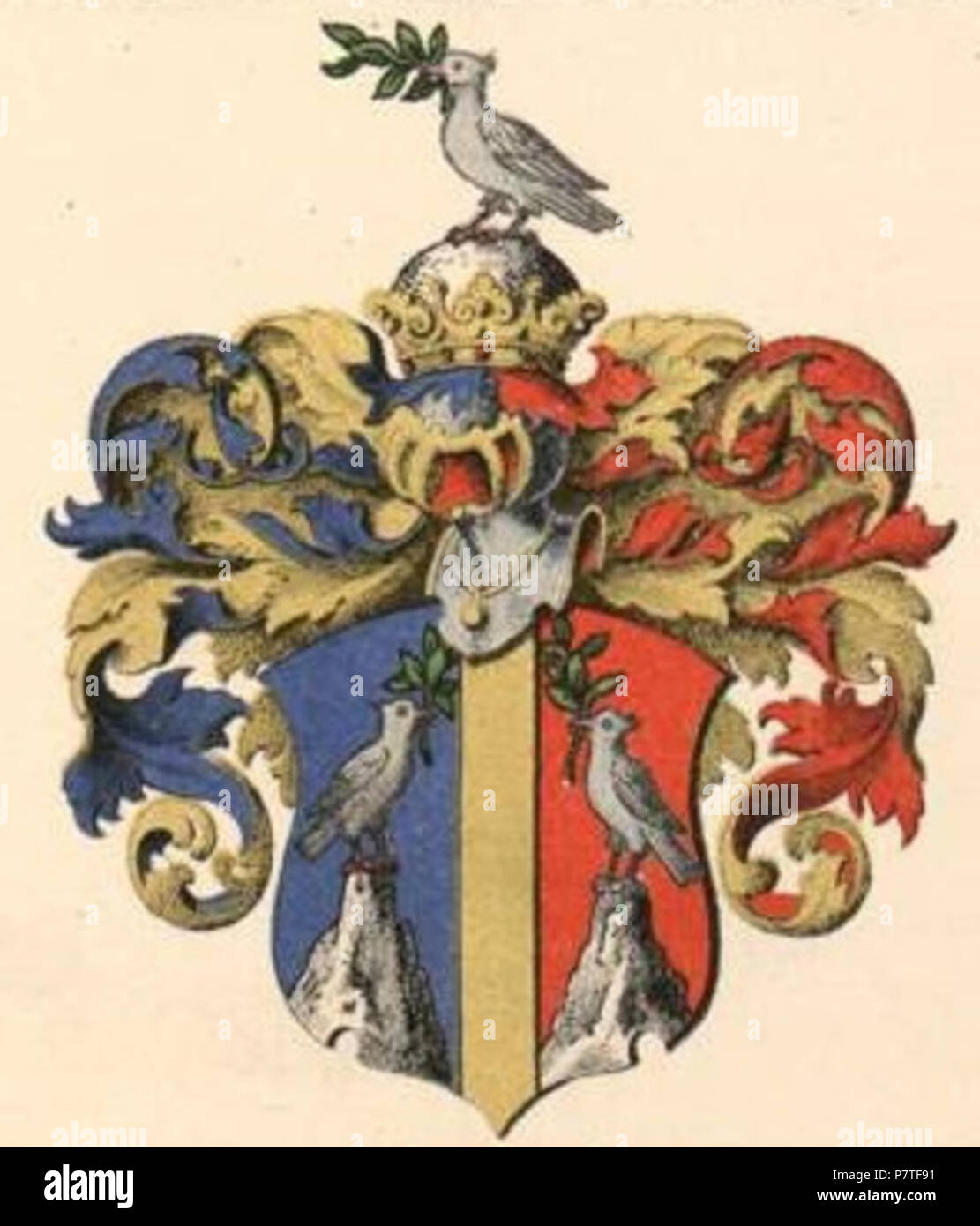 Blanckenhageni suguvõsa aadlivapp français :. English : Coat of Arms de Blanckenhagen famille noble. 188247 Blanckenhagen COA Banque D'Images