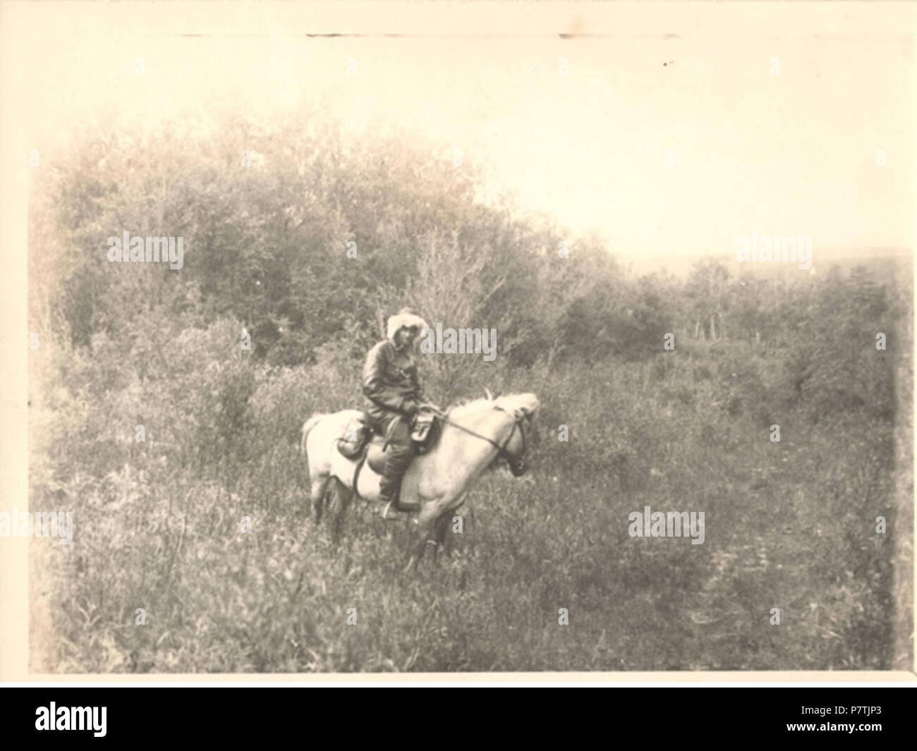 : 1908 . 190827 Arsenyev montant un cheval dans une expédition Banque D'Images