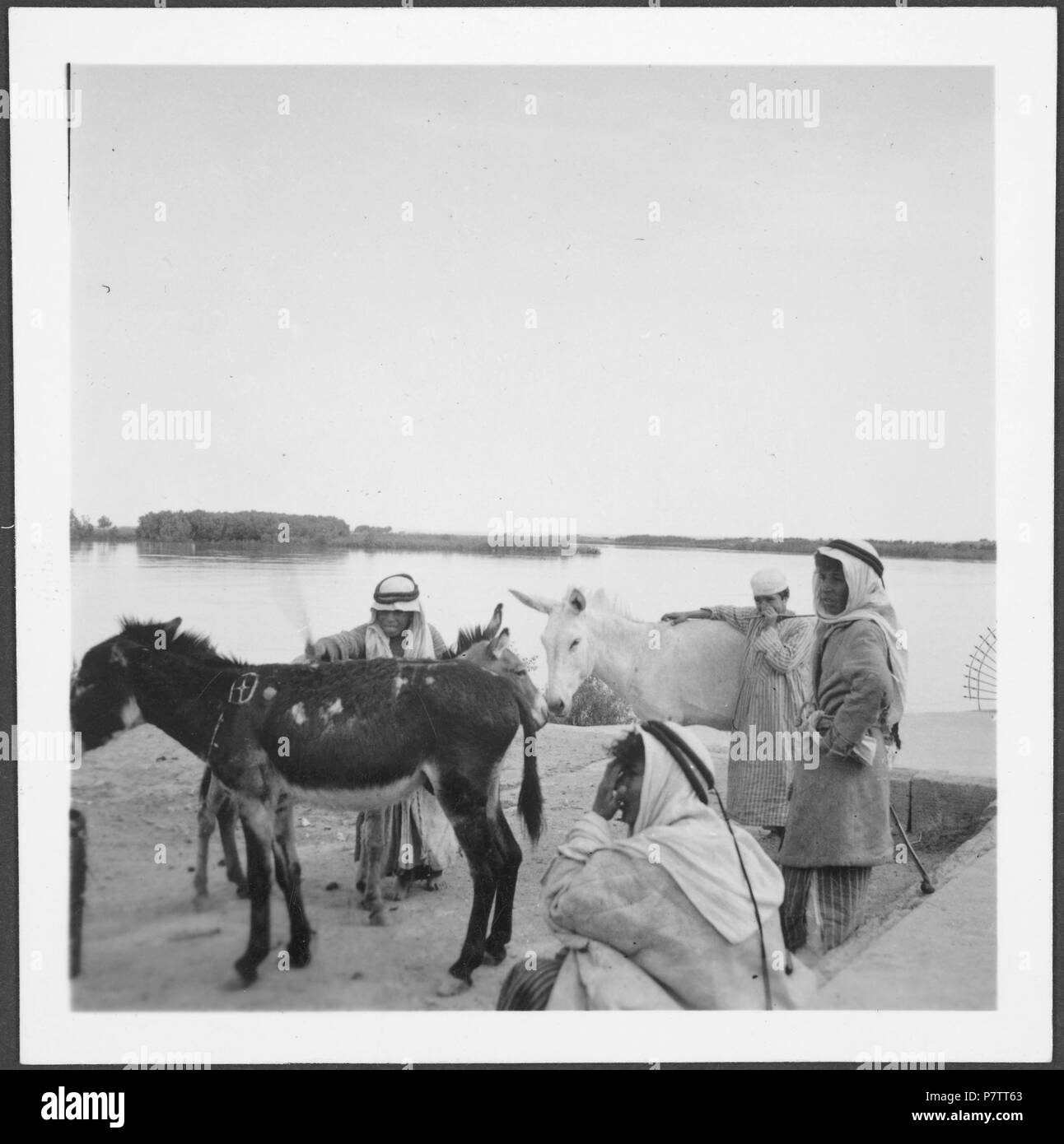 Irak : Alltagsszene ; Knaben mit Eseln. à partir de 1933 jusqu'à 1934 73 CH-NB - Irak- Alltagsszene - Annemarie Schwarzenbach - SLA-Schwarzenbach-A-5-03-072 Banque D'Images