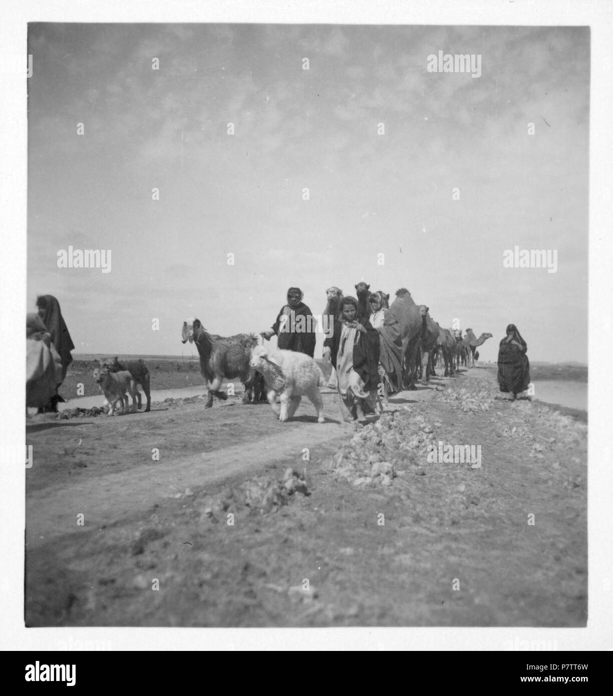 Irak : Strassenszene ; Menschen und Tiere auf Strasse. à partir de 1933 jusqu'à 1934 73 CH-NB - Irak- Strassenszene - Annemarie Schwarzenbach - SLA-Schwarzenbach-A-5-03-110 Banque D'Images