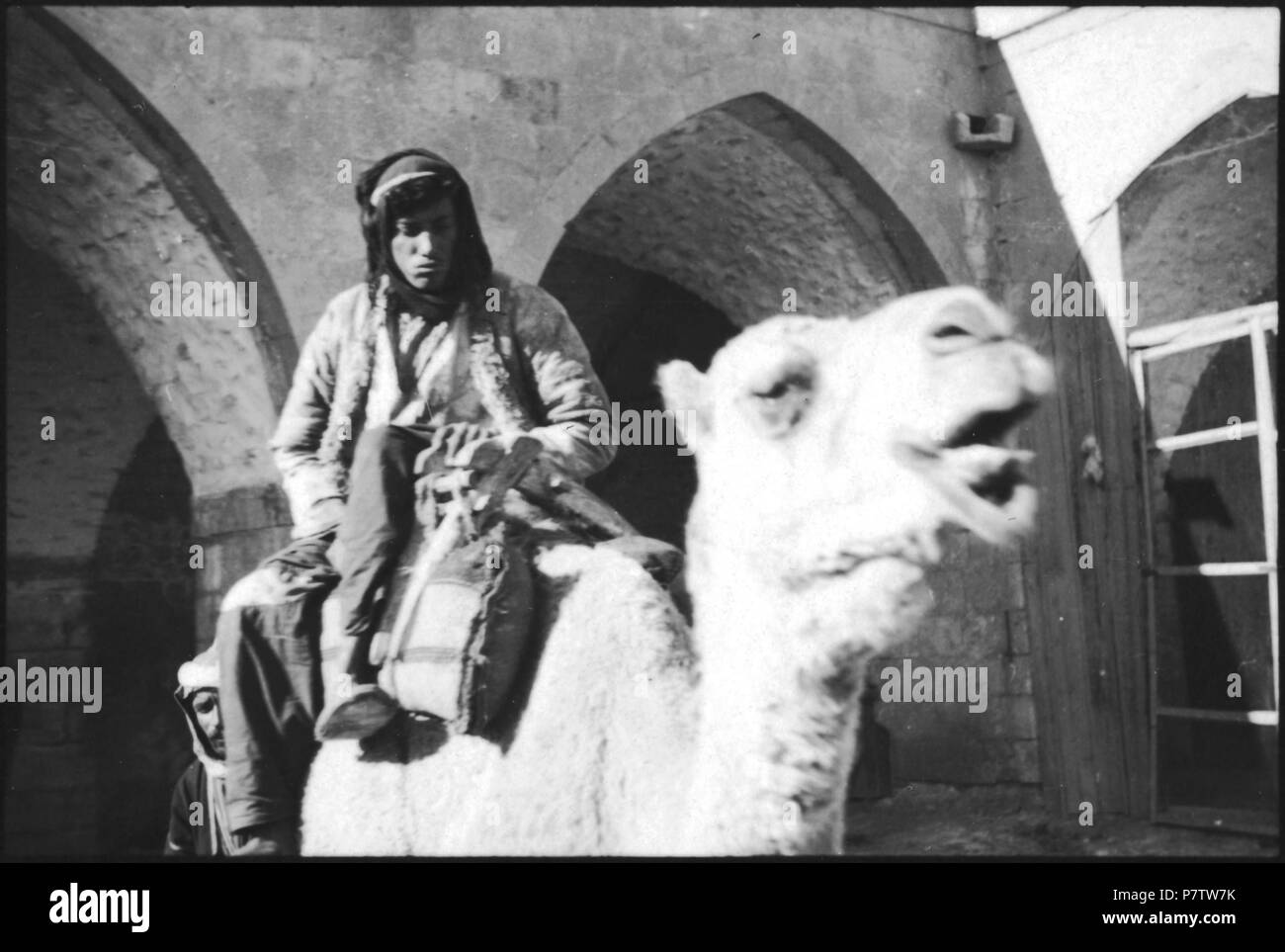 Persien : Kamelreiter ; Kamel mit Reiter. à partir de 1933 jusqu'à 1934 78 CH-NB - Persien- Kamelreiter - Annemarie Schwarzenbach - SLA-Schwarzenbach-A-5-04-172 Banque D'Images