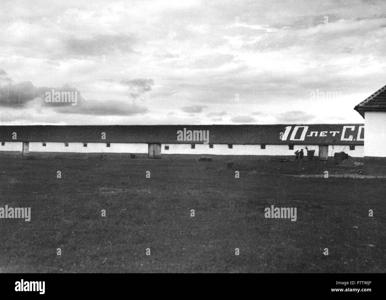 Russland, Nordossetien : Landwirtschaft ; Kuhstall. à partir de 1933 jusqu'à 1934 80 CH-NB - Russland, Nordossetien- Landwirtschaft - Annemarie Schwarzenbach - SLA-Schwarzenbach-A-5-04-226 Banque D'Images